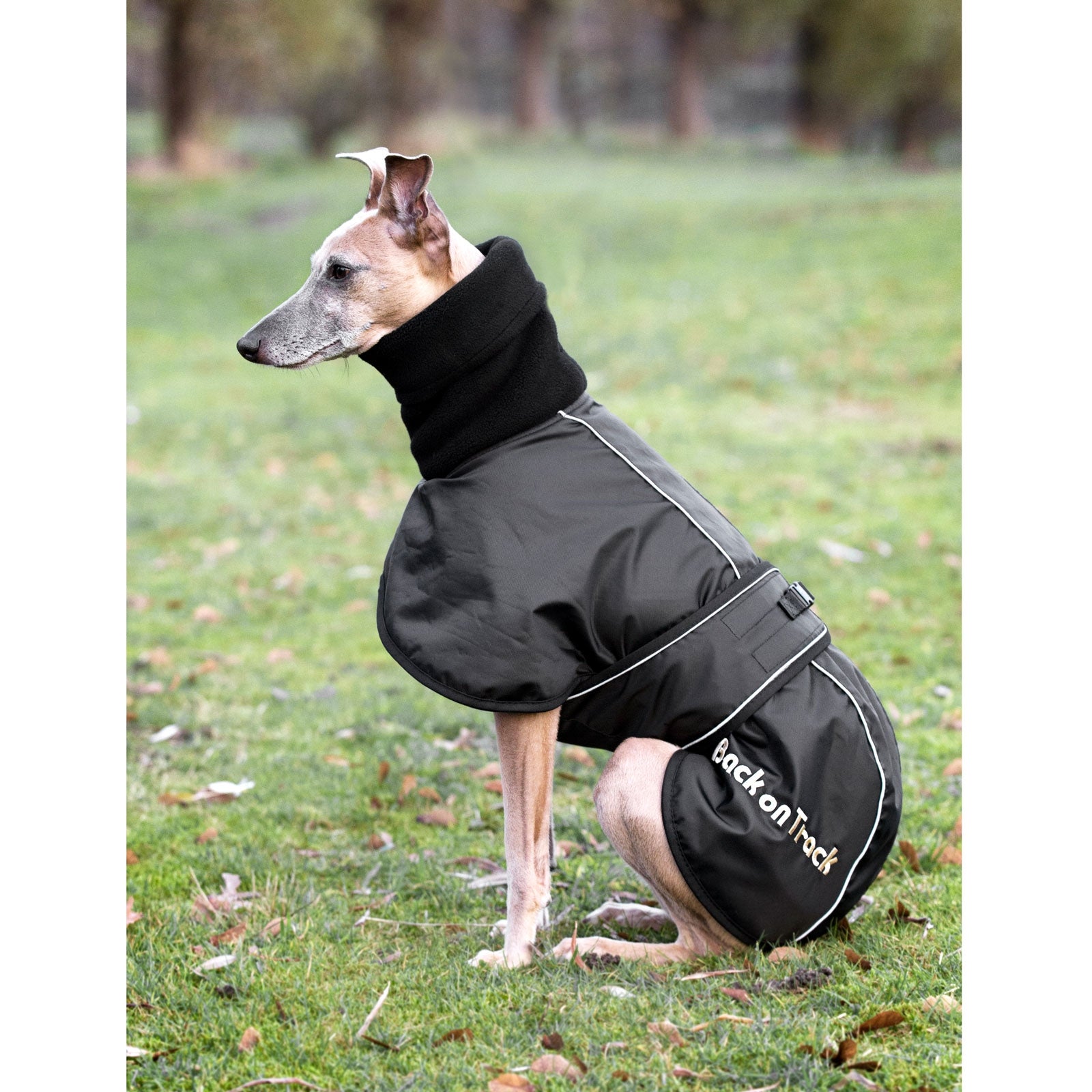Abrigo Reversible Para Perro Groc Groc Vivian Azul Cielo