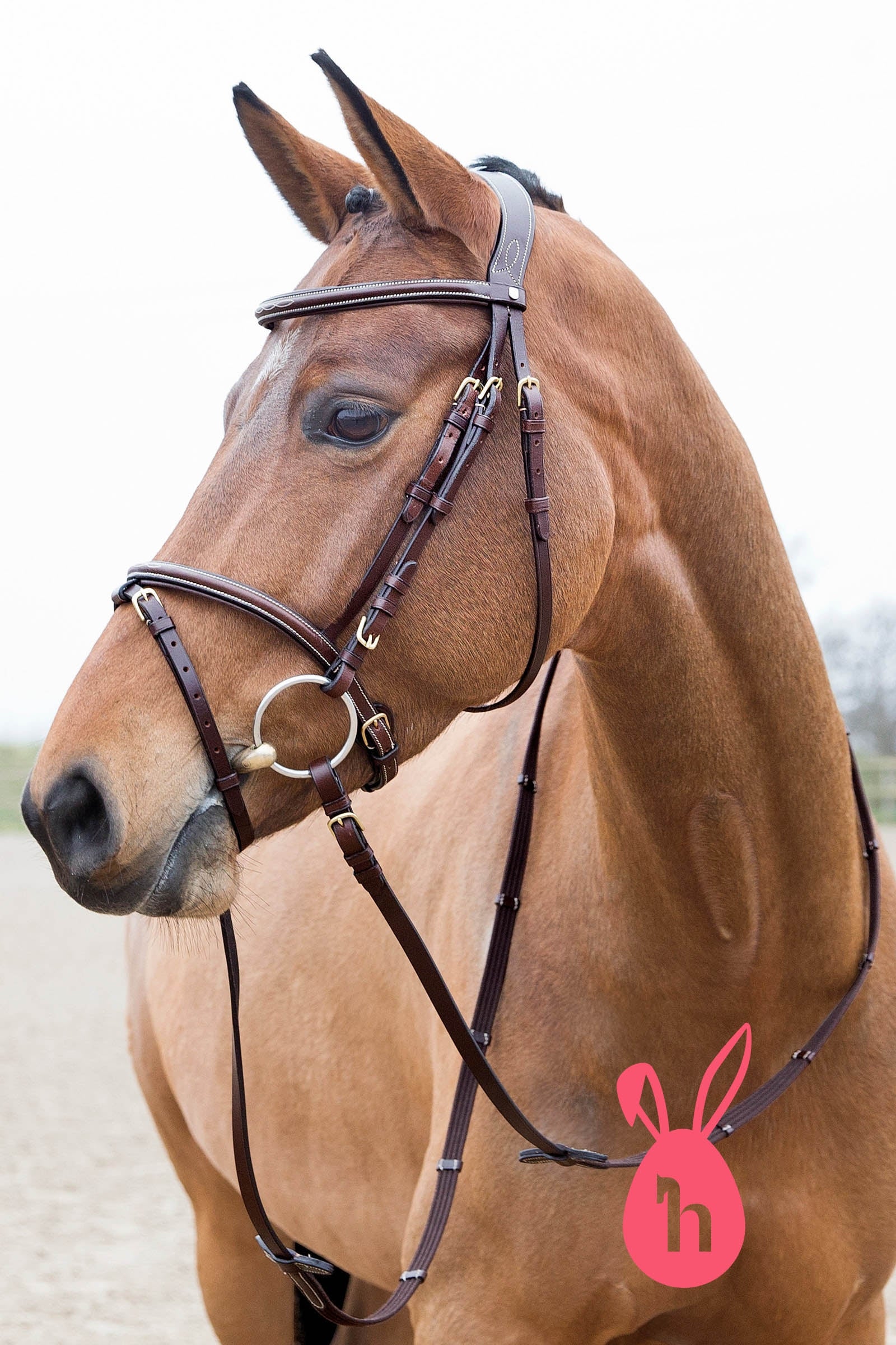Horze Constance Padded Flash Bridle Bridles & Reins