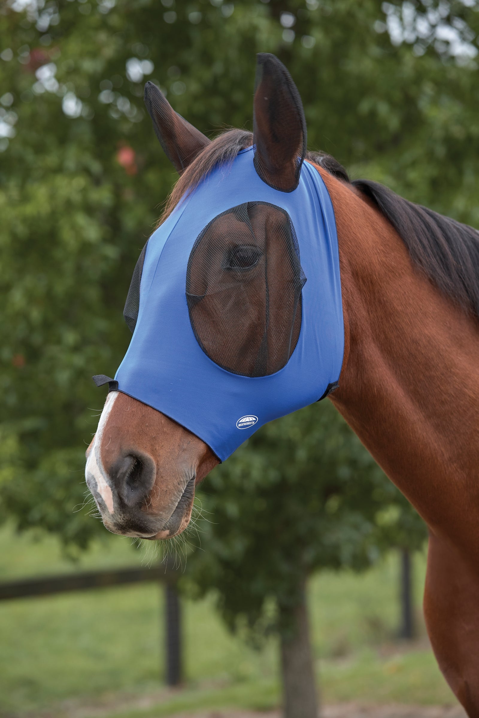 Weatherbeeta Máscara Anti-Moscas Elástica Protector de Ojos con Orejas Deluxe Protección Antimoscas para Caballos