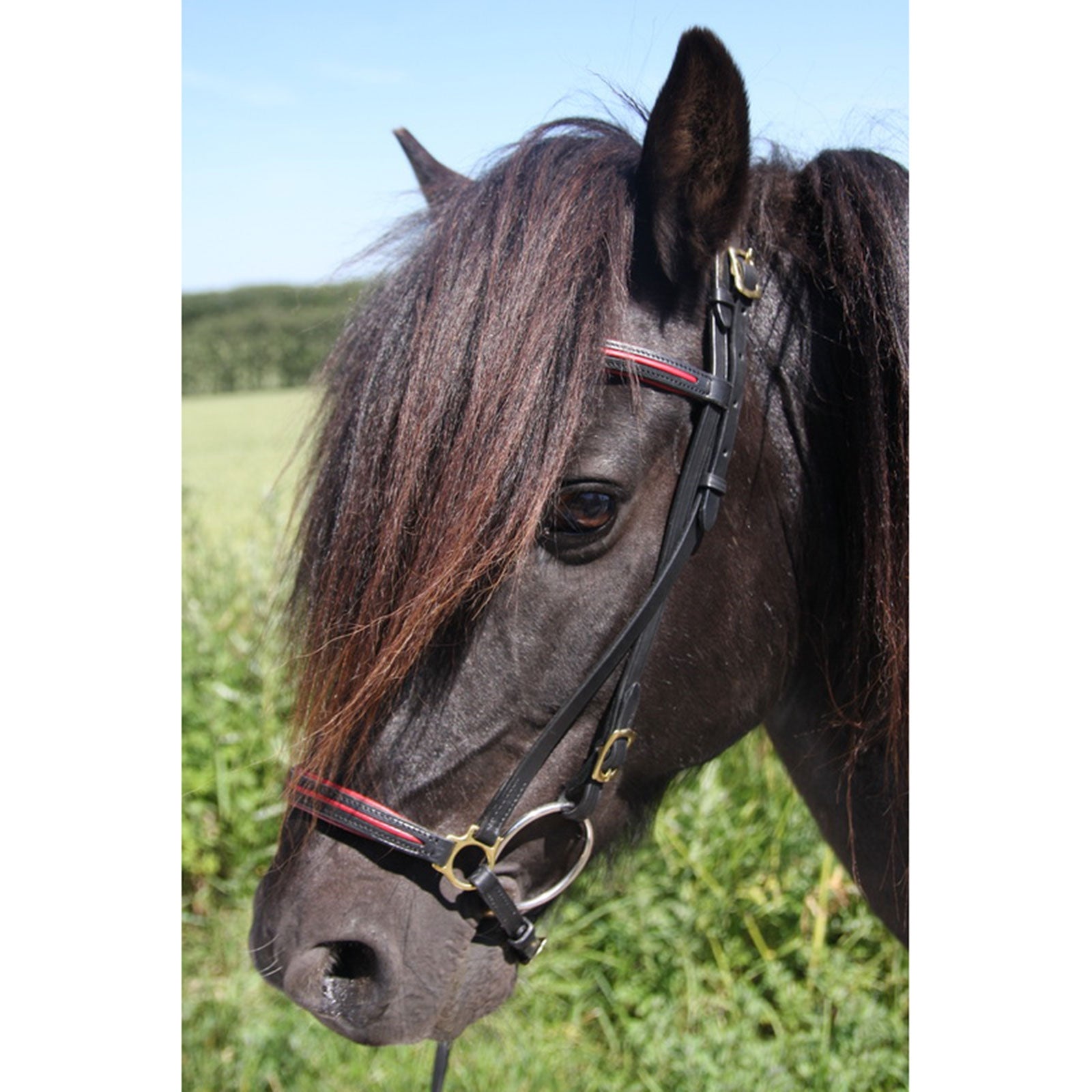 Karlslund New style noseband Bridles & Reins
