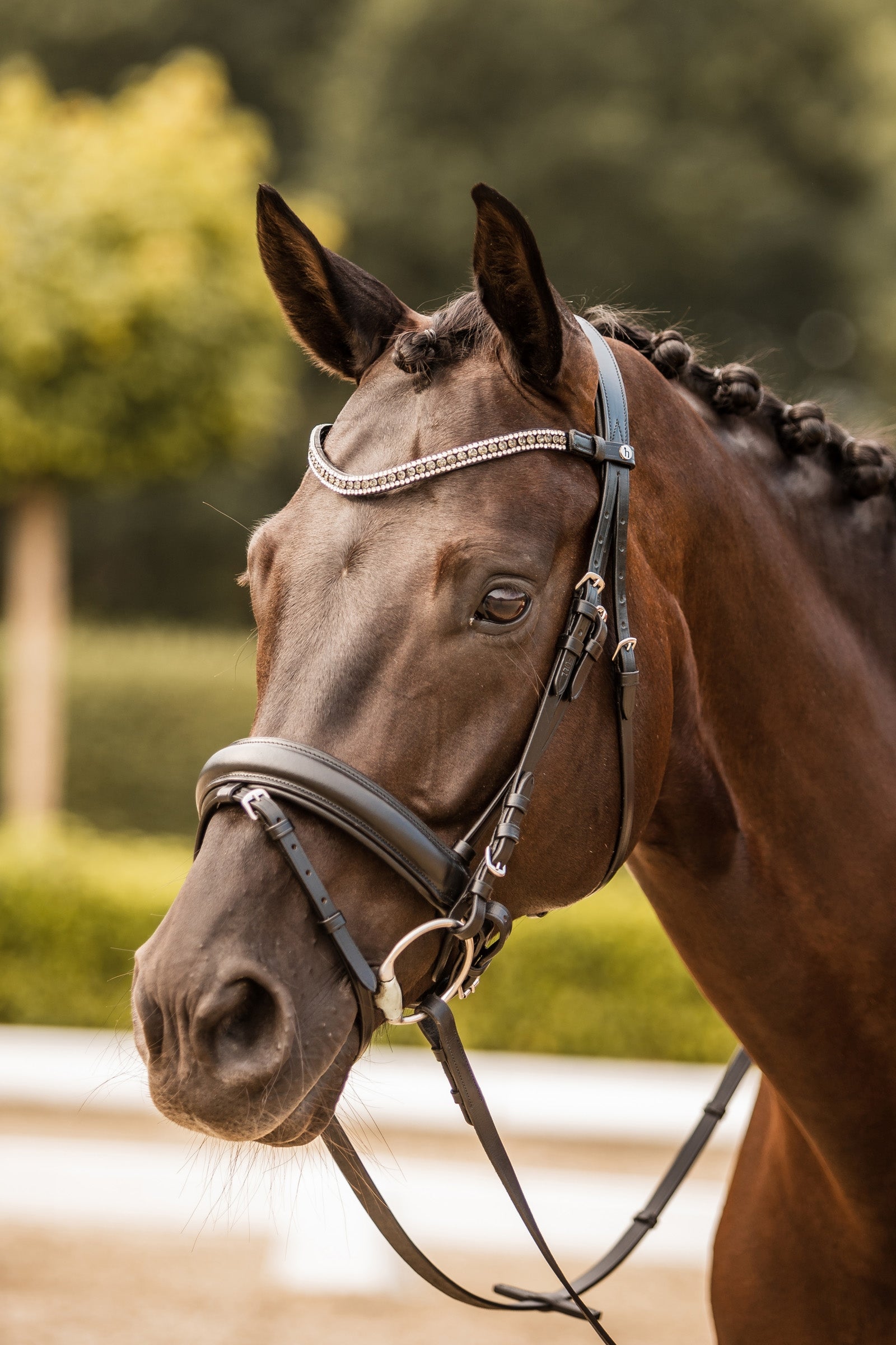 Horze Columbia Brow Band with Crystals Bridles & Reins