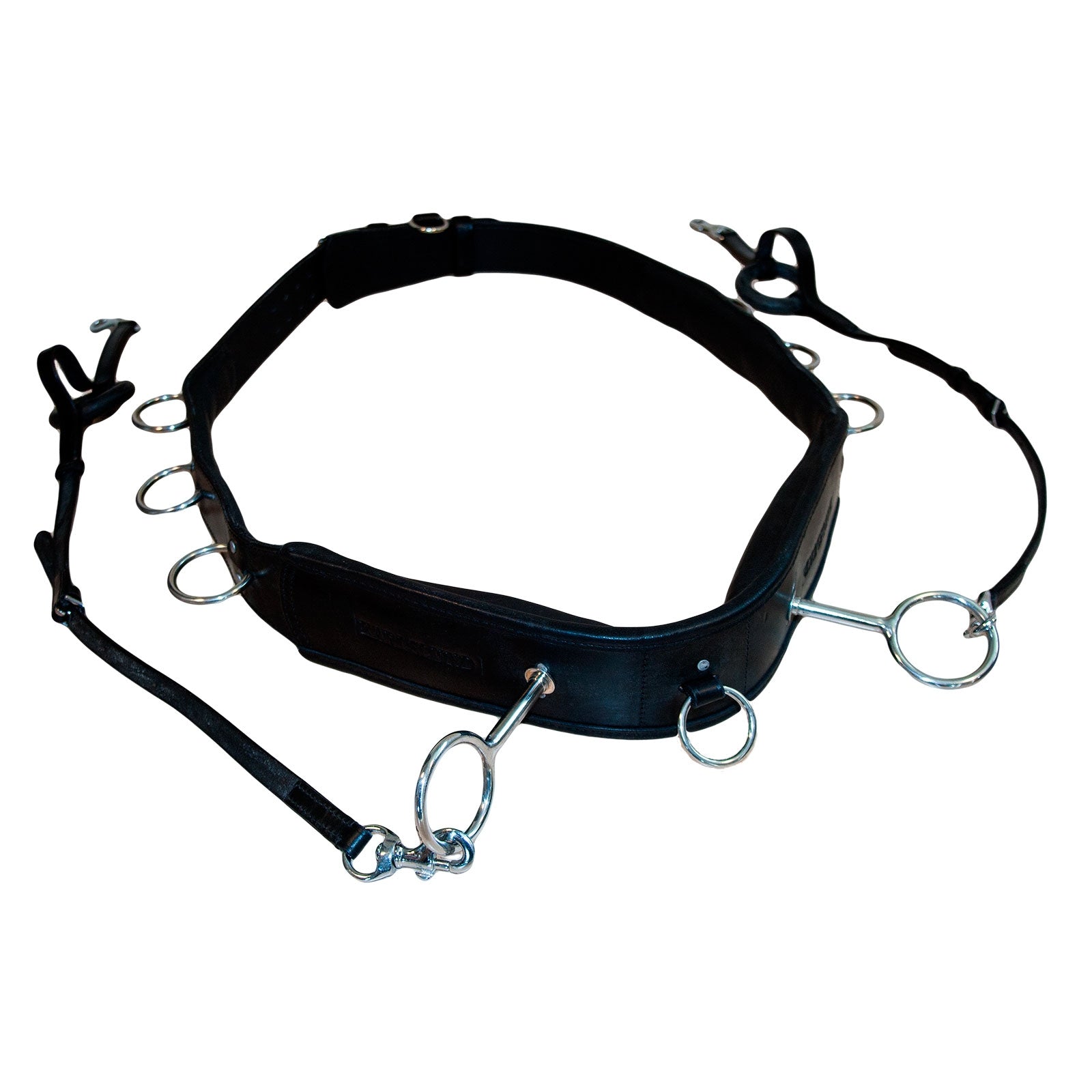 Karlslund Circunferencia de Karlslund Entrenamiento Caballo