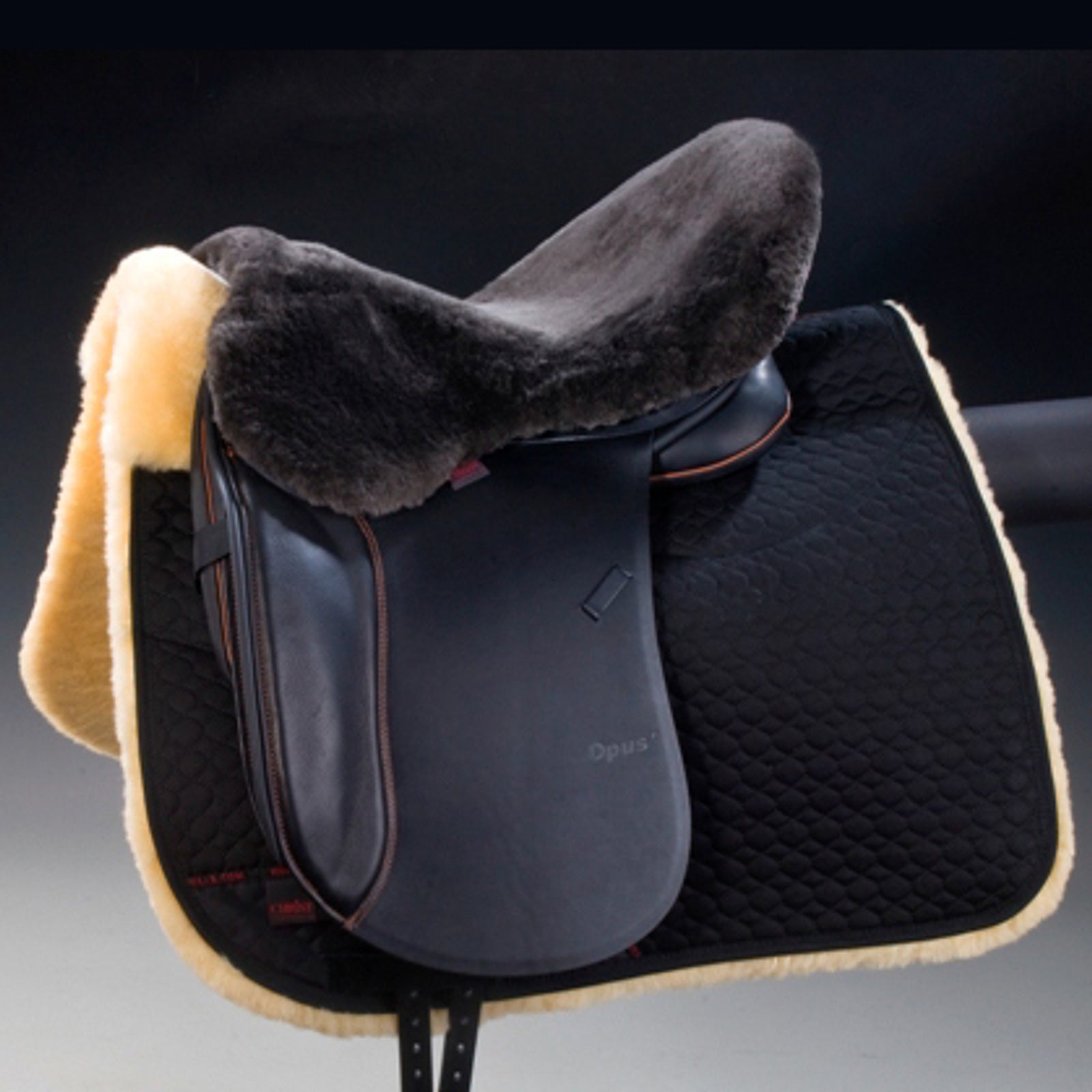 Christ Funda de asiento Cristo para sillas de montar inglesas Monturas & Cinchas