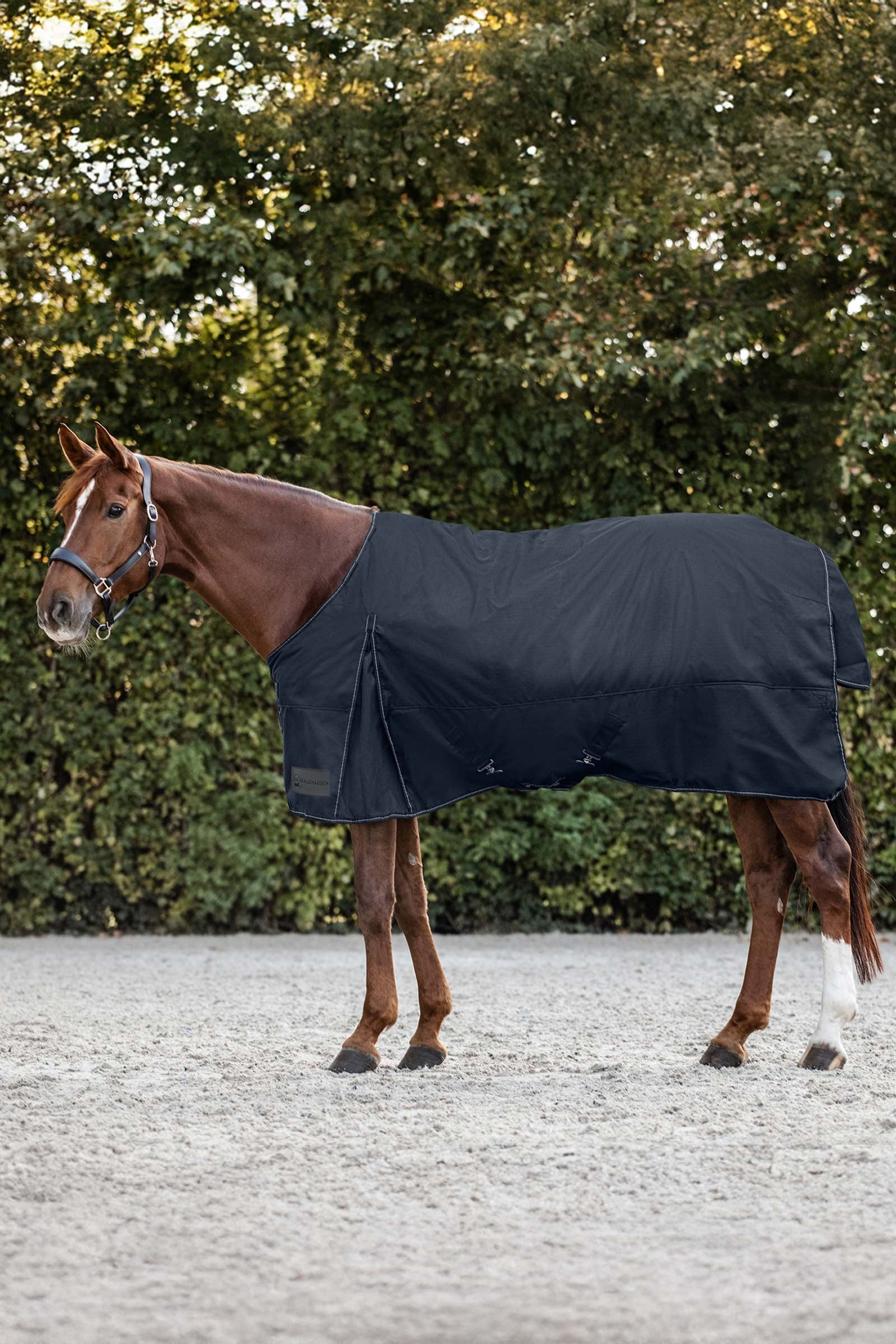Waldhausen Nordic Manta de Exterior, 200 g Mantas Caballo
