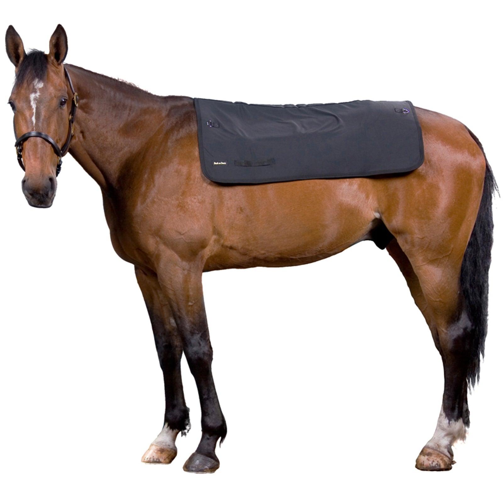 Back on Track Back Warmer, 100cm x 100cm Saddle Pads