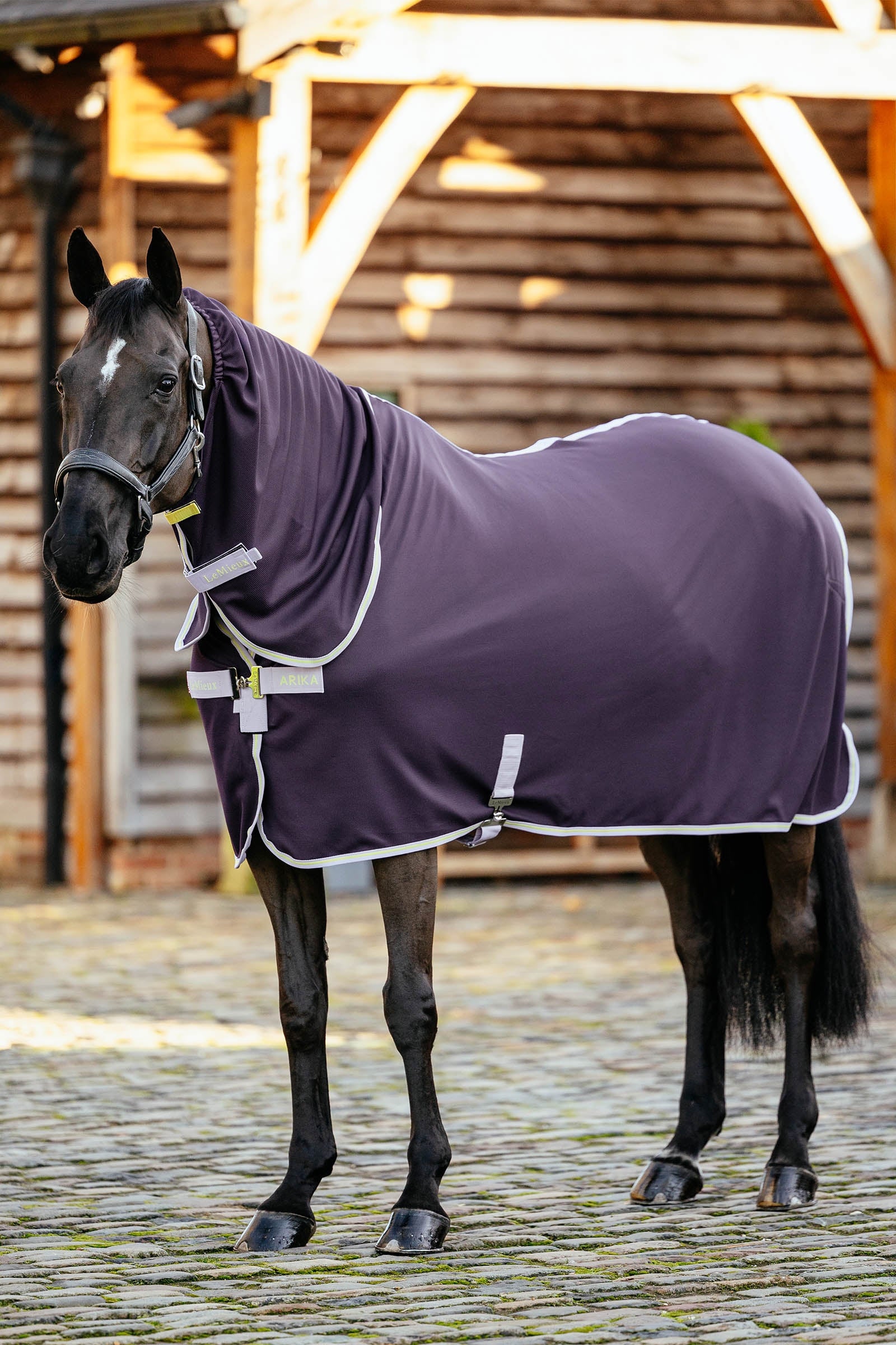 LeMieux Arika DryEase manta de secado Mantas Caballo