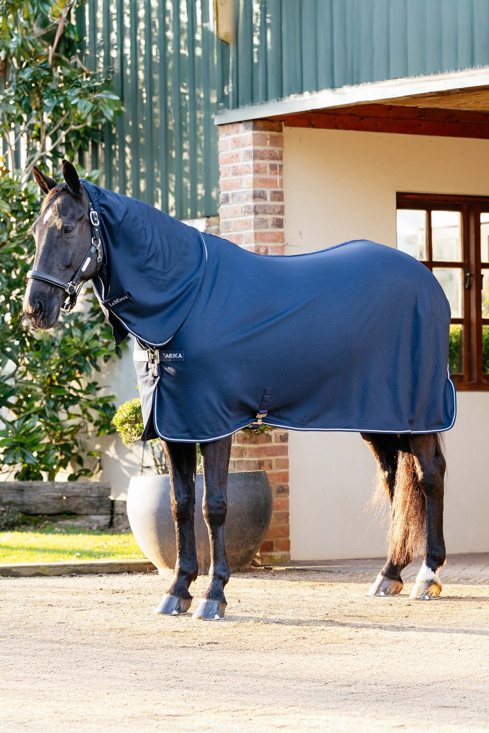 LeMieux Arika DryEase manta de secado Mantas Caballo