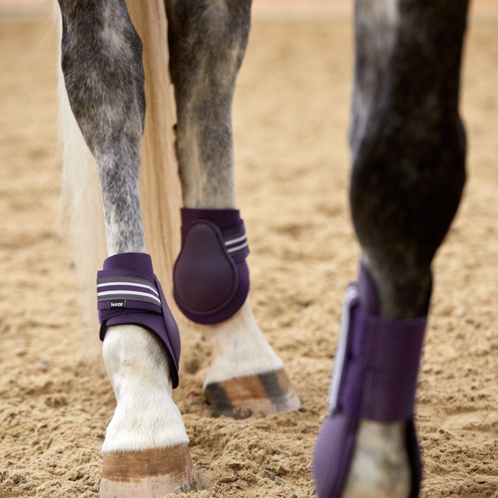 Horze Adepto Fetlock Boots Leg Protection & Hoof Protection for Horses