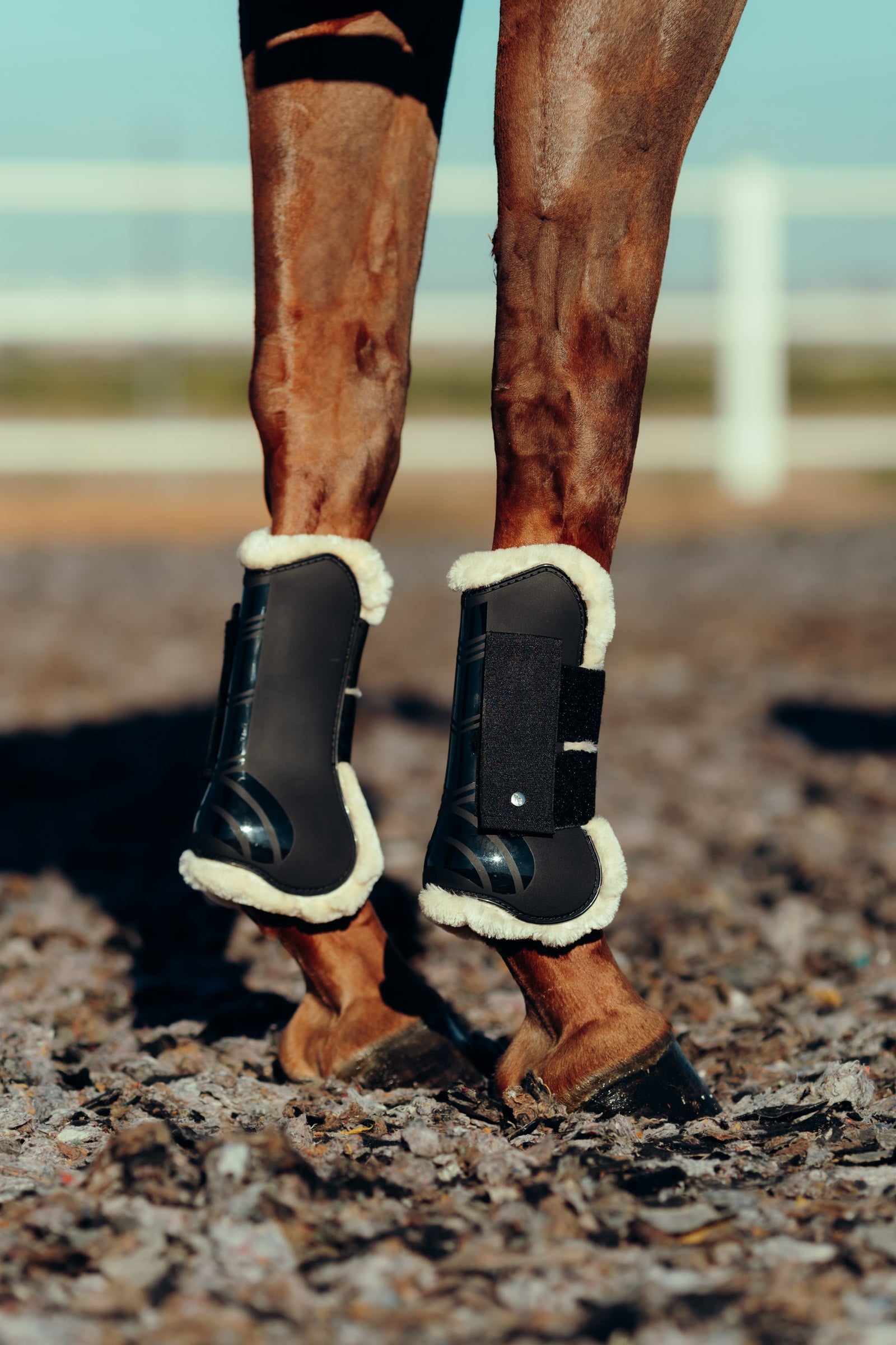 Horze Caliber Tendon Boots with Faux Fur Lining Leg Protection & Hoof Protection for Horses
