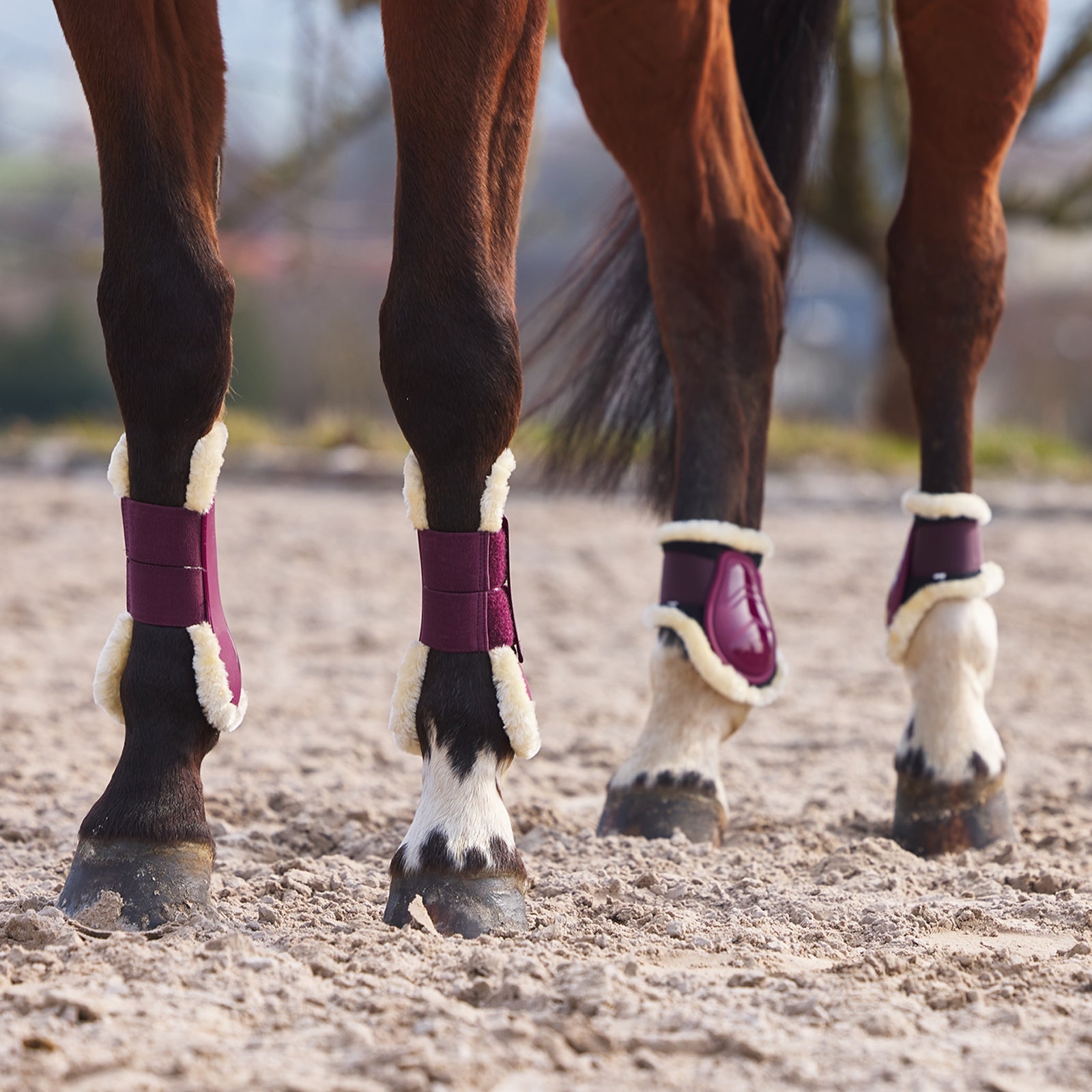 Horze Windsor Fetlock Boots with Faux Fur Lininig Leg Protection & Hoof Protection for Horses