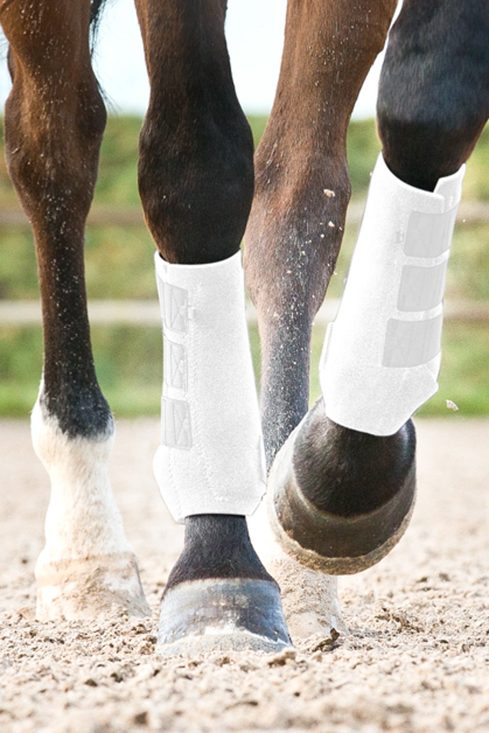 Horze ProSoft Boots, Front Leg Protection & Hoof Protection for Horses