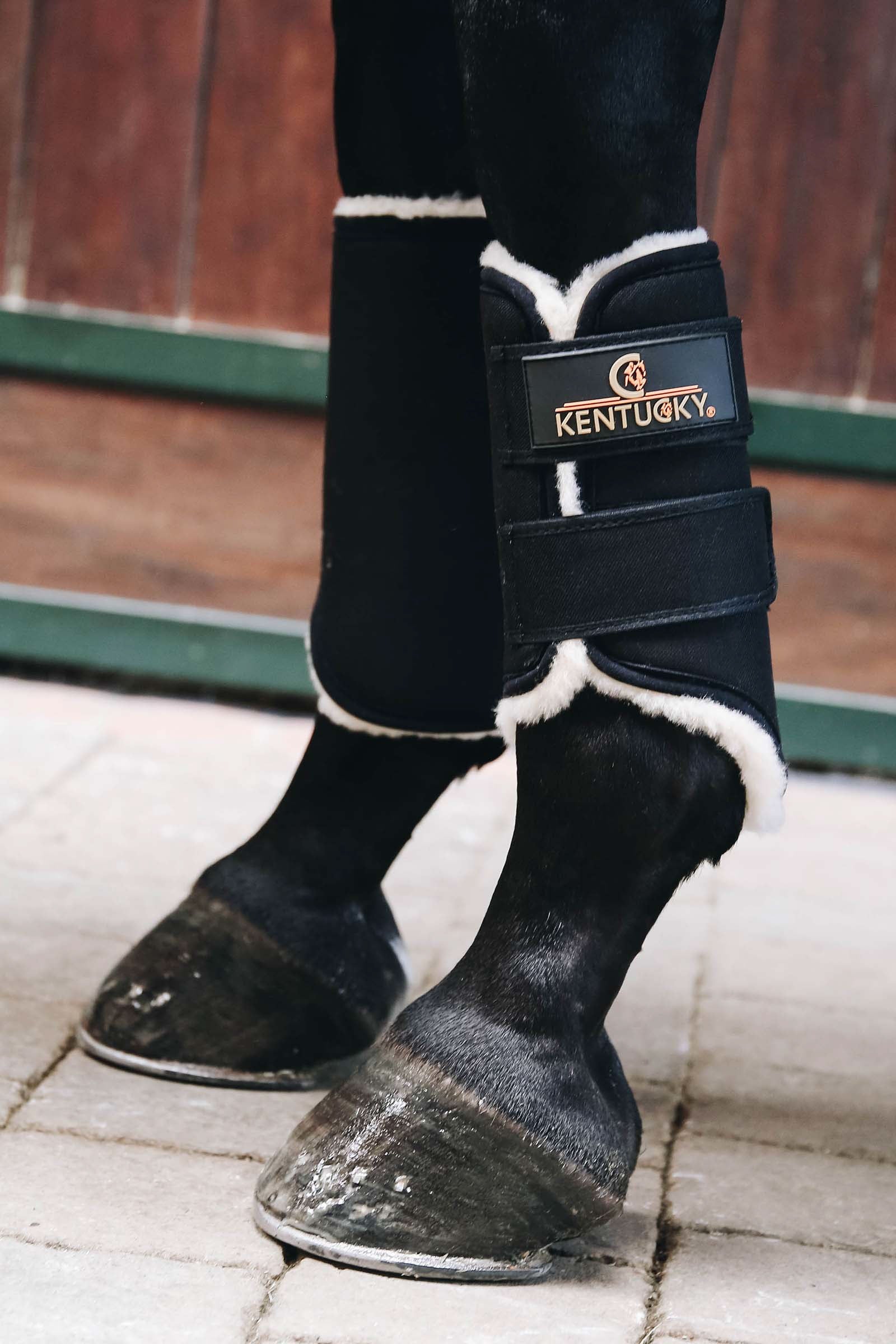 Kentucky Horsewear Botas de asistencia Solimbra, parte trasera Leg Protection & Hoof Protection for Horses
