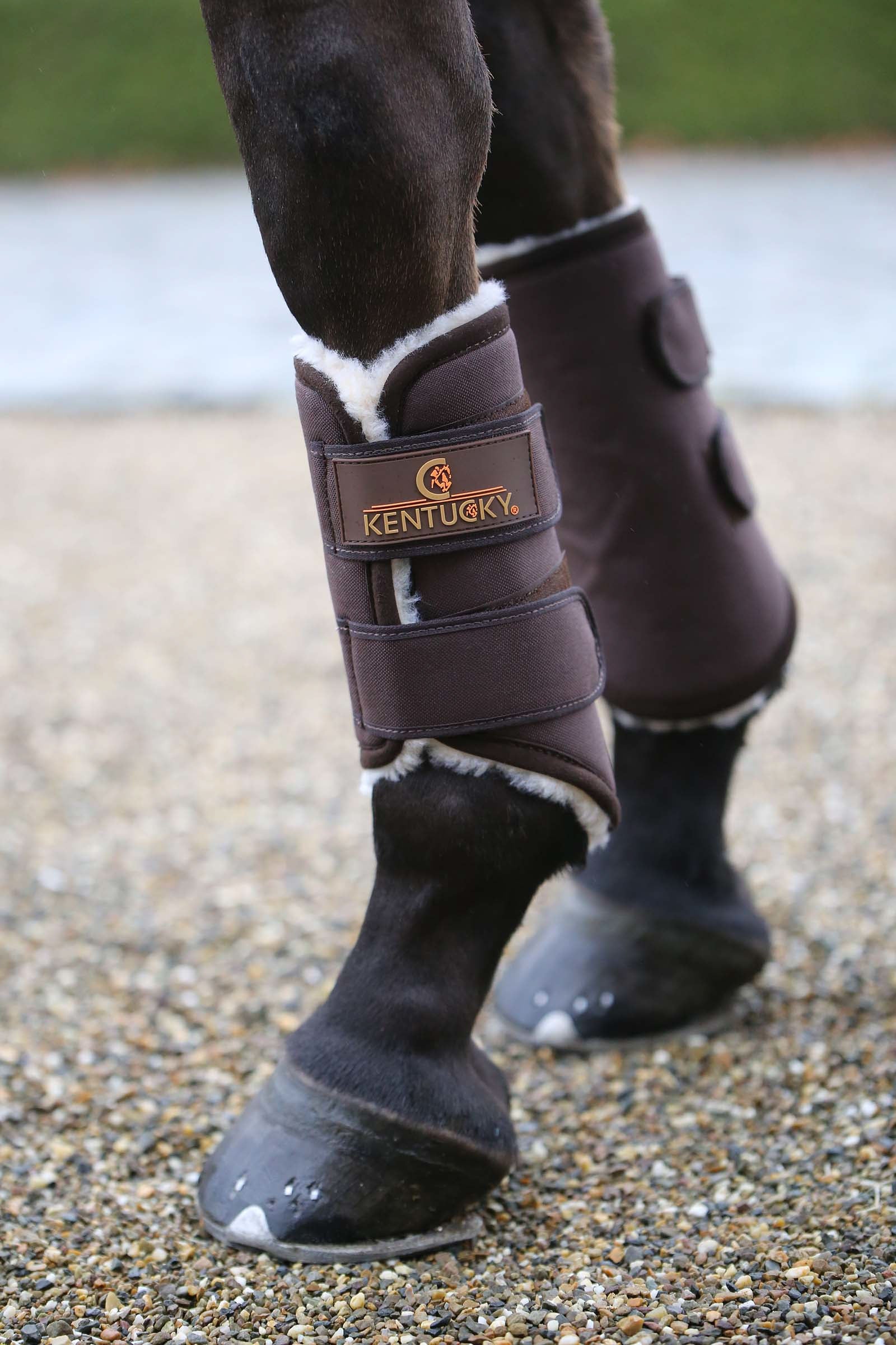 Kentucky Horsewear Botas de protección Solimbra, parte delantera Leg & Hoof Protection