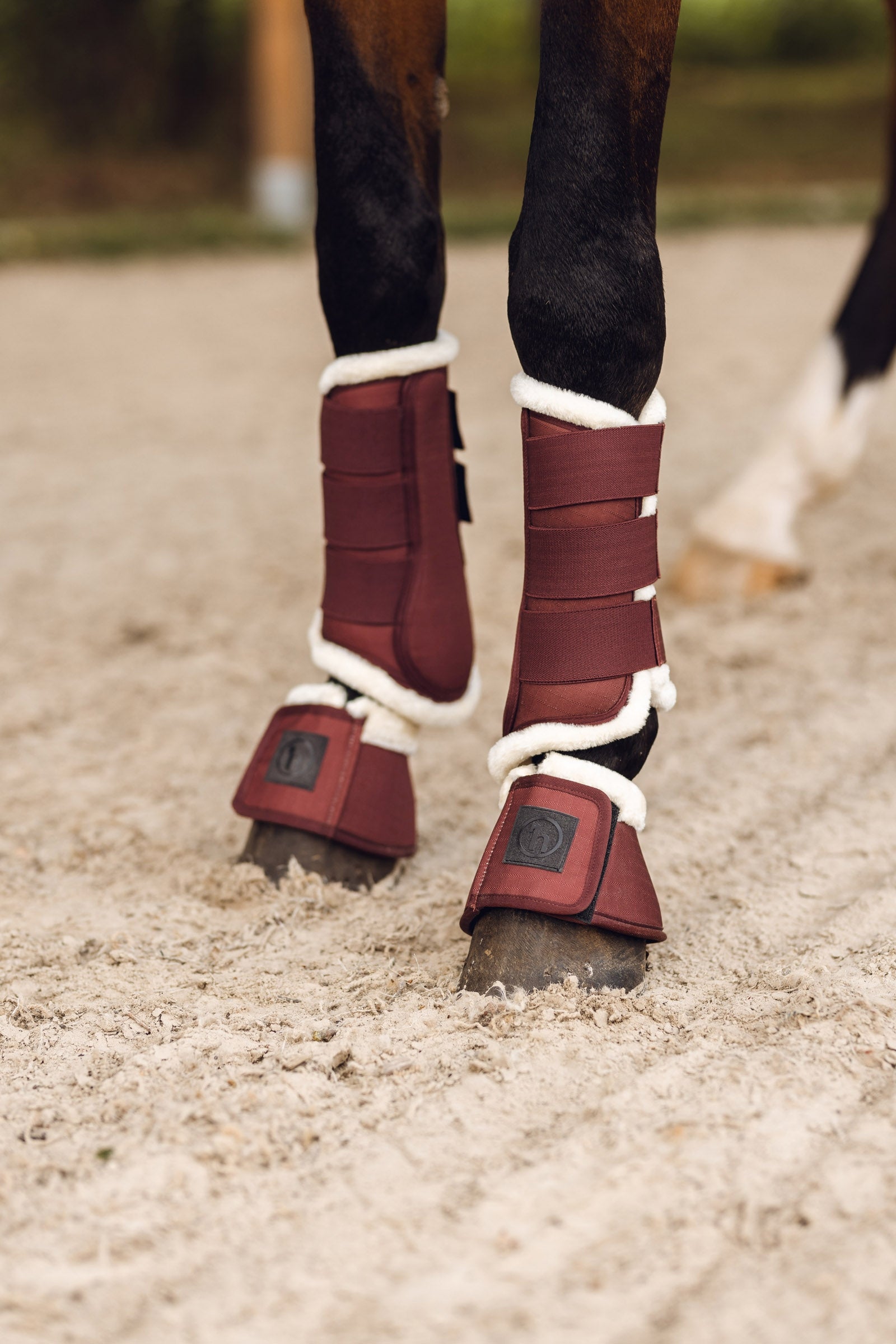 Horze Terrazzo Bell Boots Leg Protection & Hoof Protection for Horses