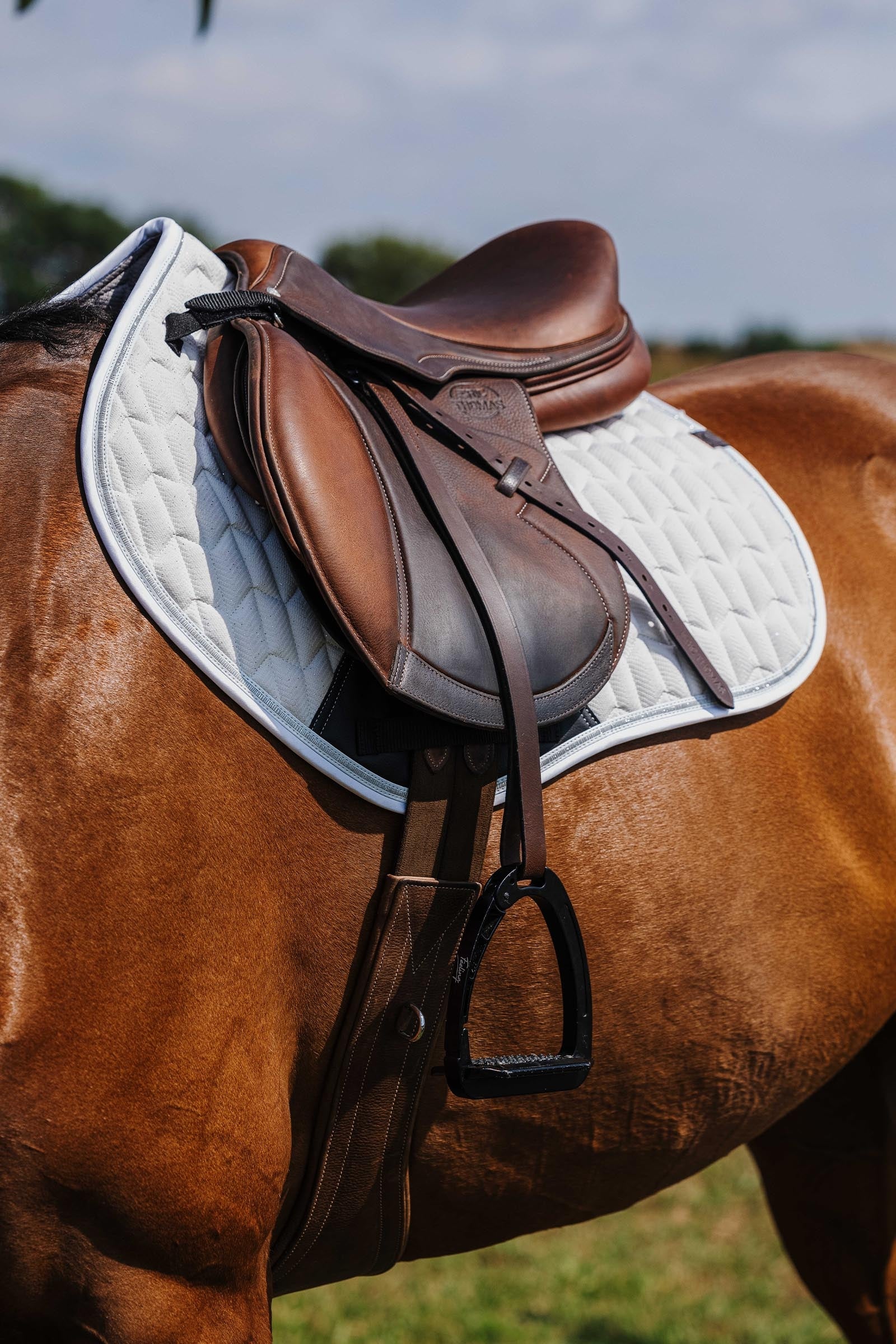 Equi Theme EQUITHÈME Eclat Saddle Pad Saddle Pads