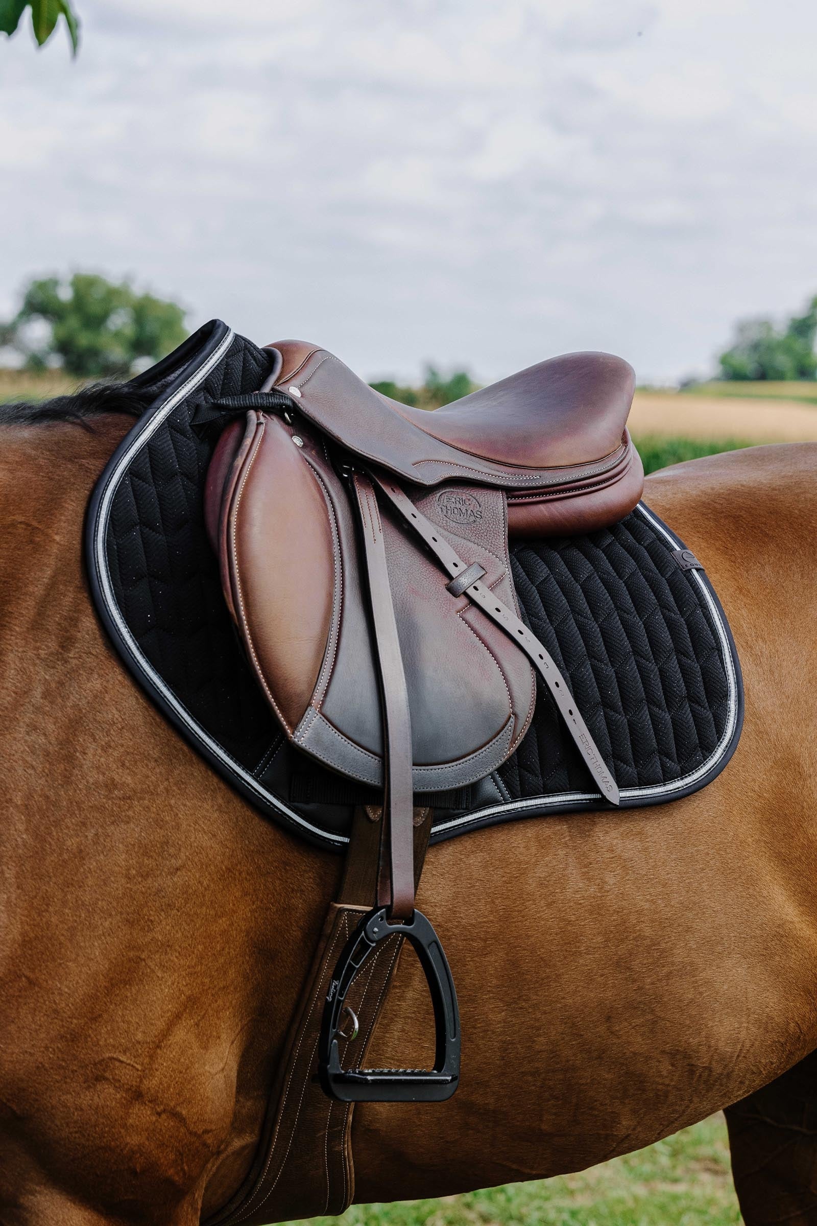 Equi Theme EQUITHÈME Eclat Saddle Pad Saddle Pads