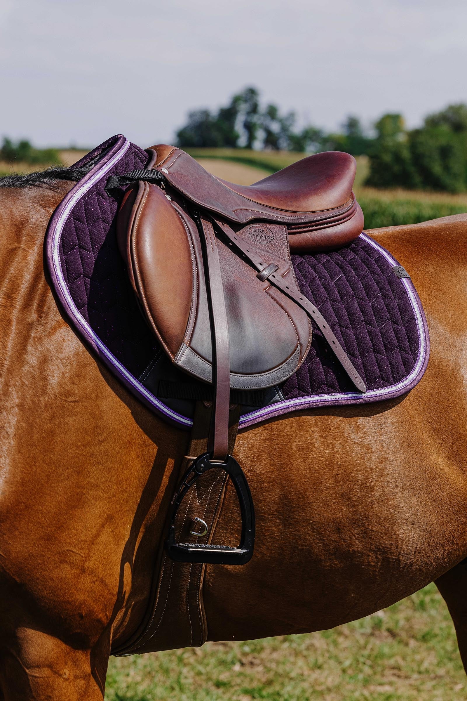 Equi Theme EQUITHÈME Eclat Saddle Pad Saddle Pads