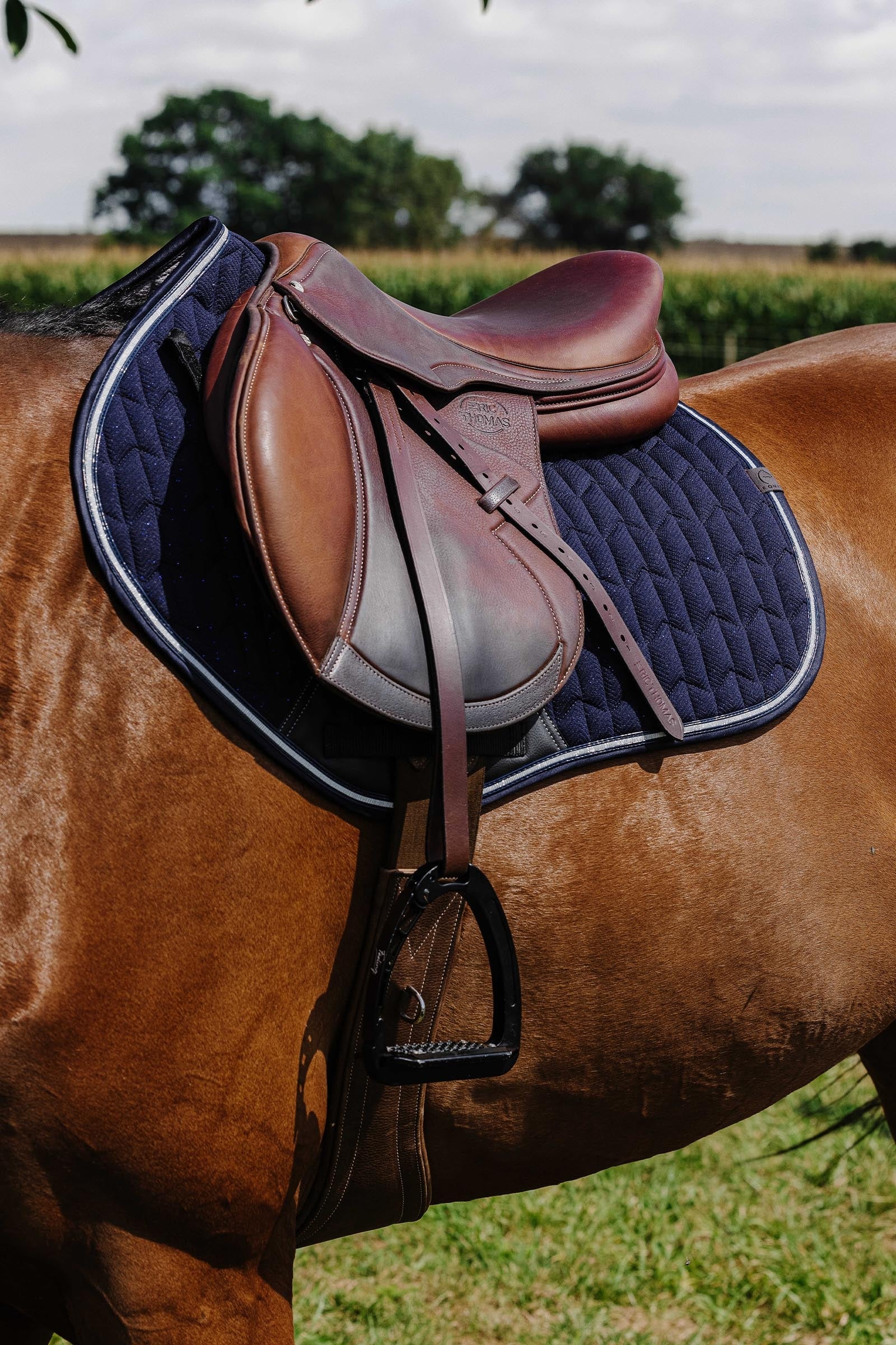 EQUITHÈME Eclat Saddle Pad Saddle Pads