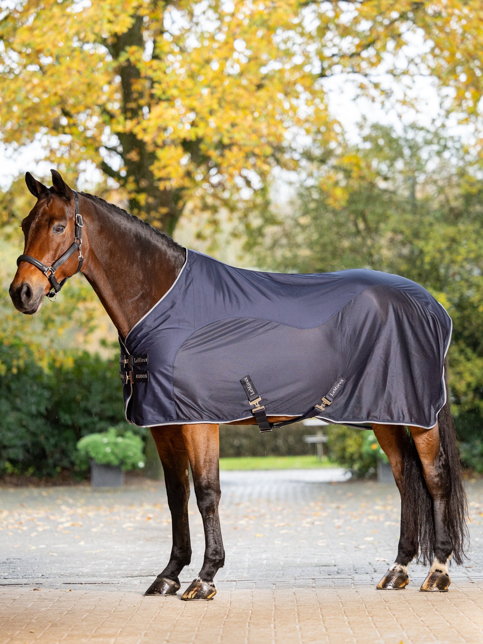LeMieux Kudos Hybrid Cooler Mantas Caballo