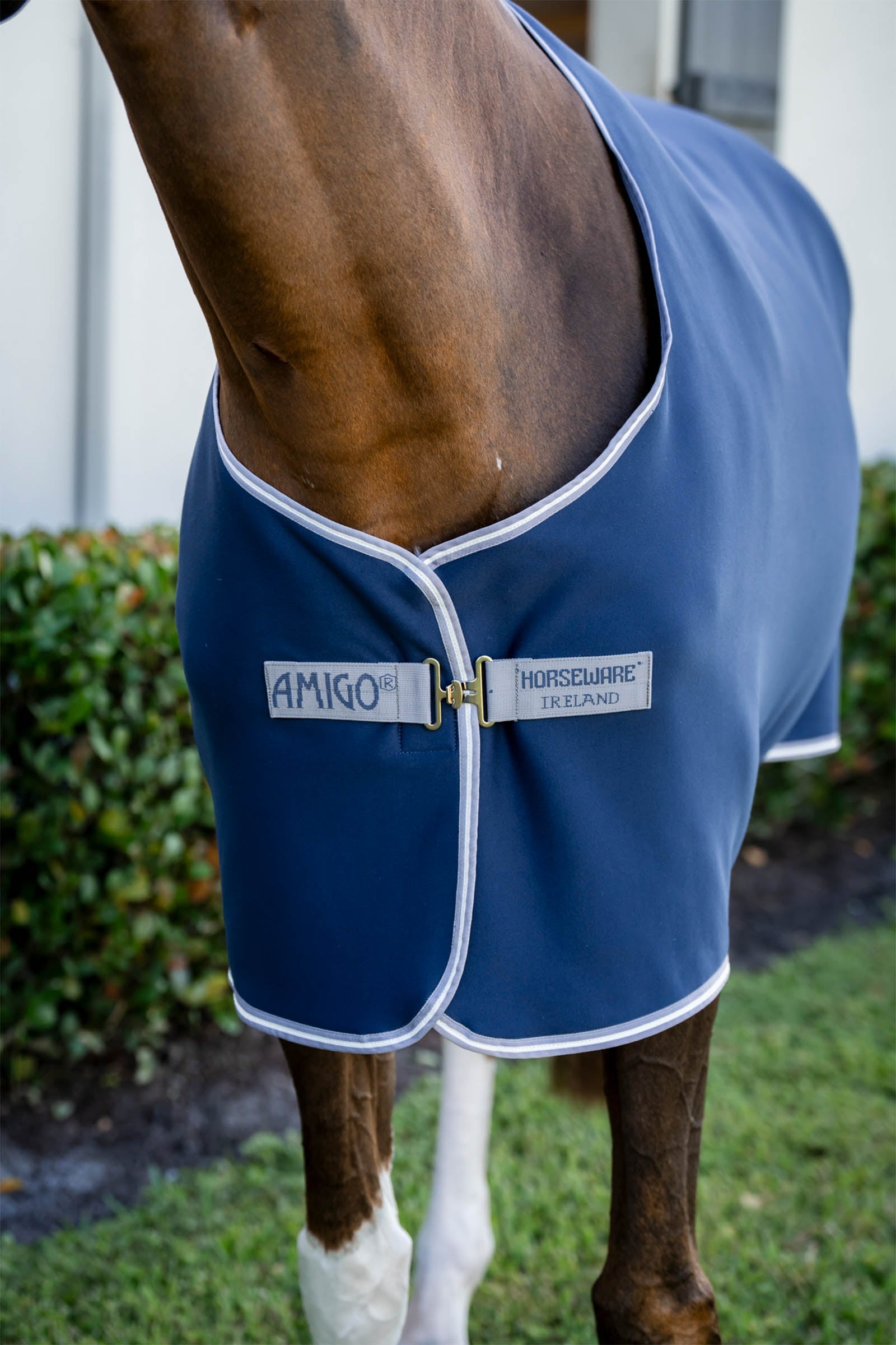 Horseware Amigo Jersey Cooler Horse Rugs