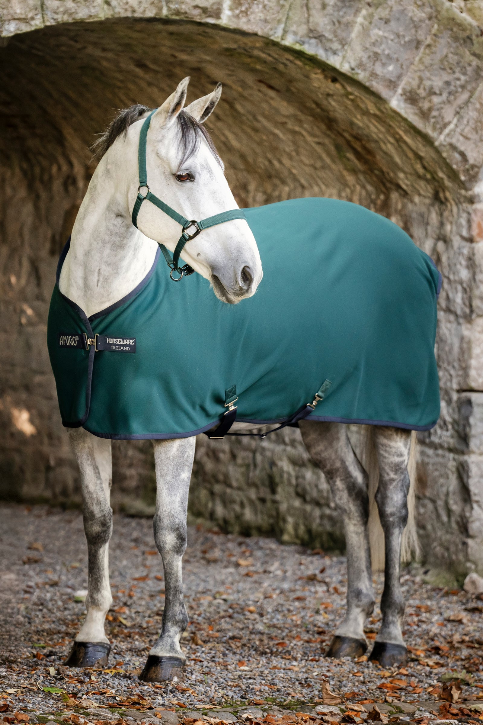Horseware Amigo manta de secado jersey Mantas Caballo
