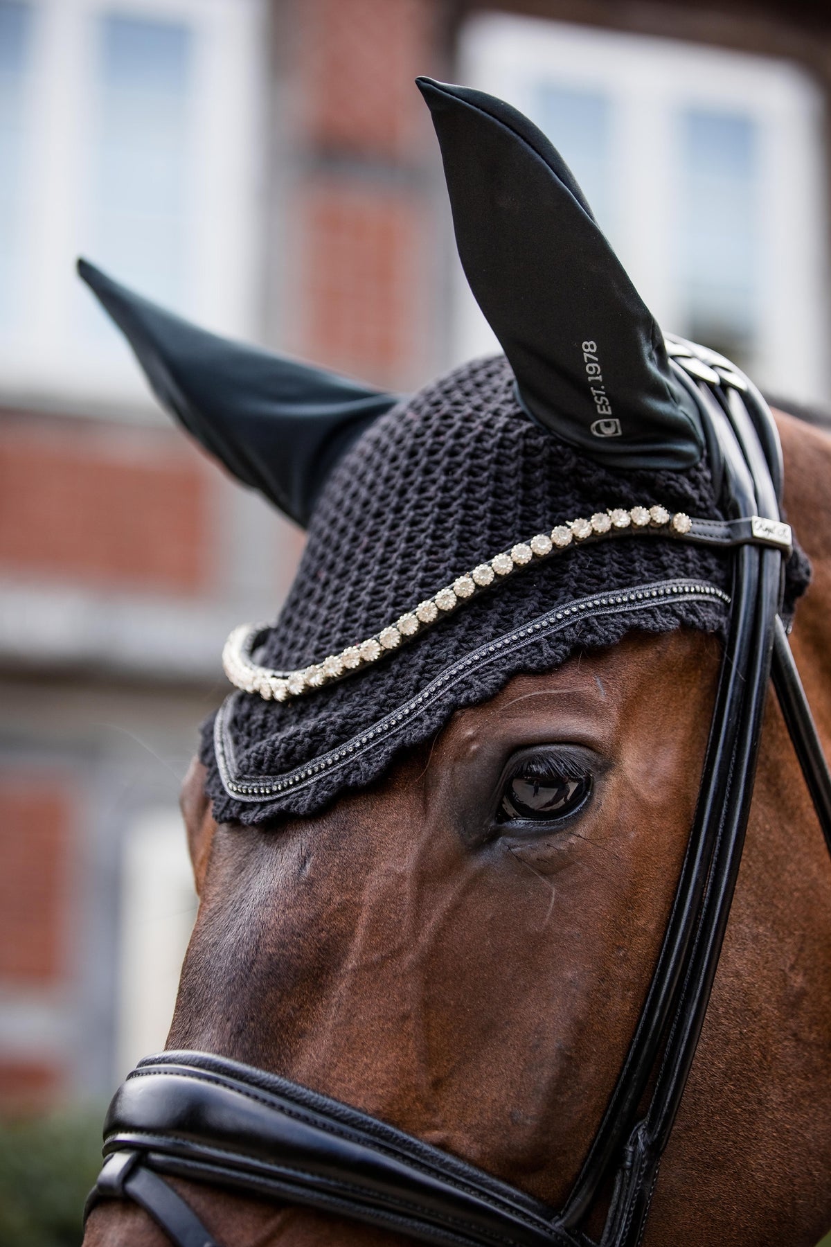 Cavallo CAVALJETTY Ear Net Saddle Pads