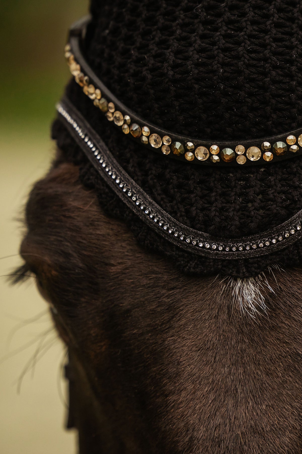 Cavallo CAVALJETTY Ear Net Saddle Pads