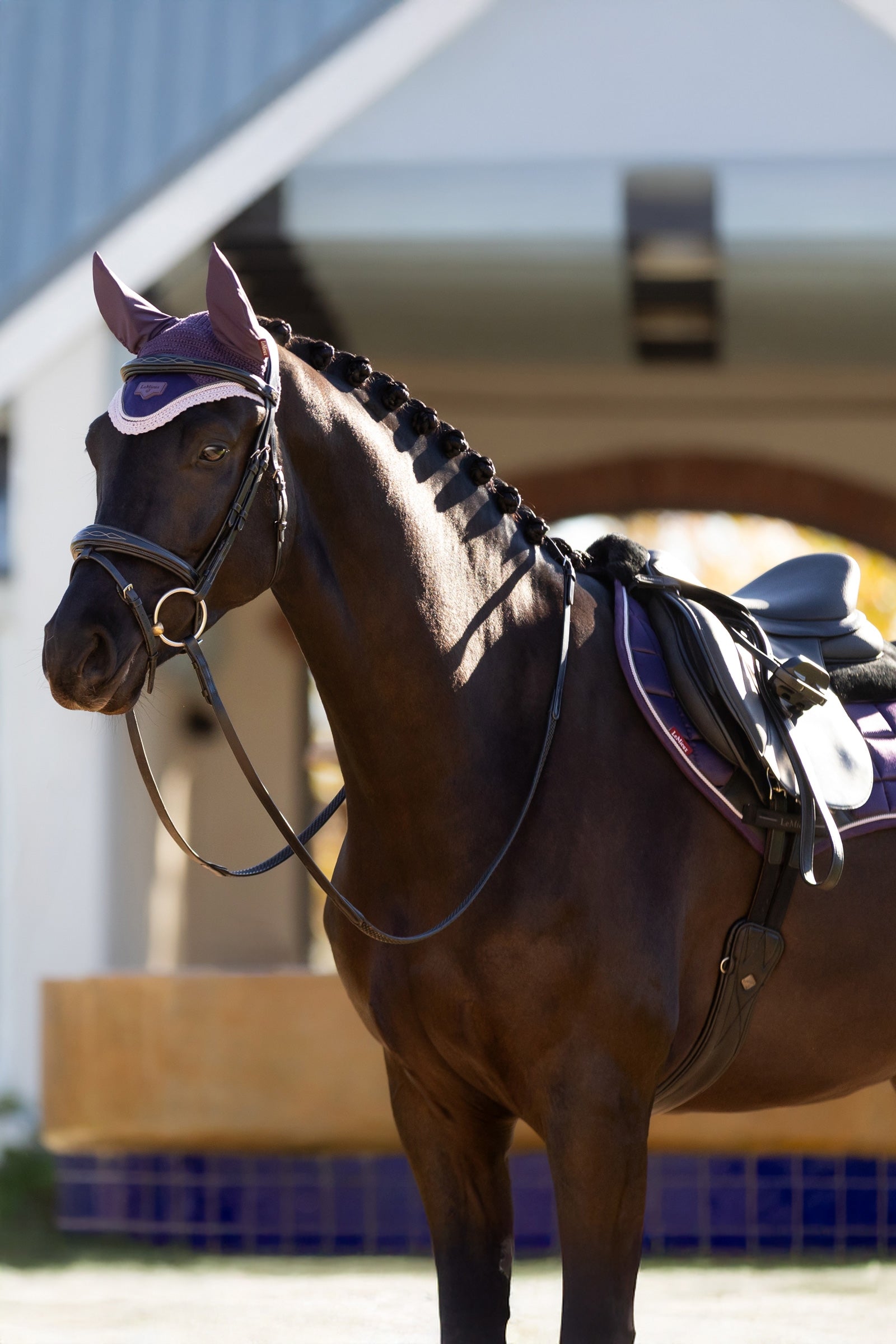 LeMieux Merino+ Loire Classic Close Contact Saddle Pad Saddle Pads