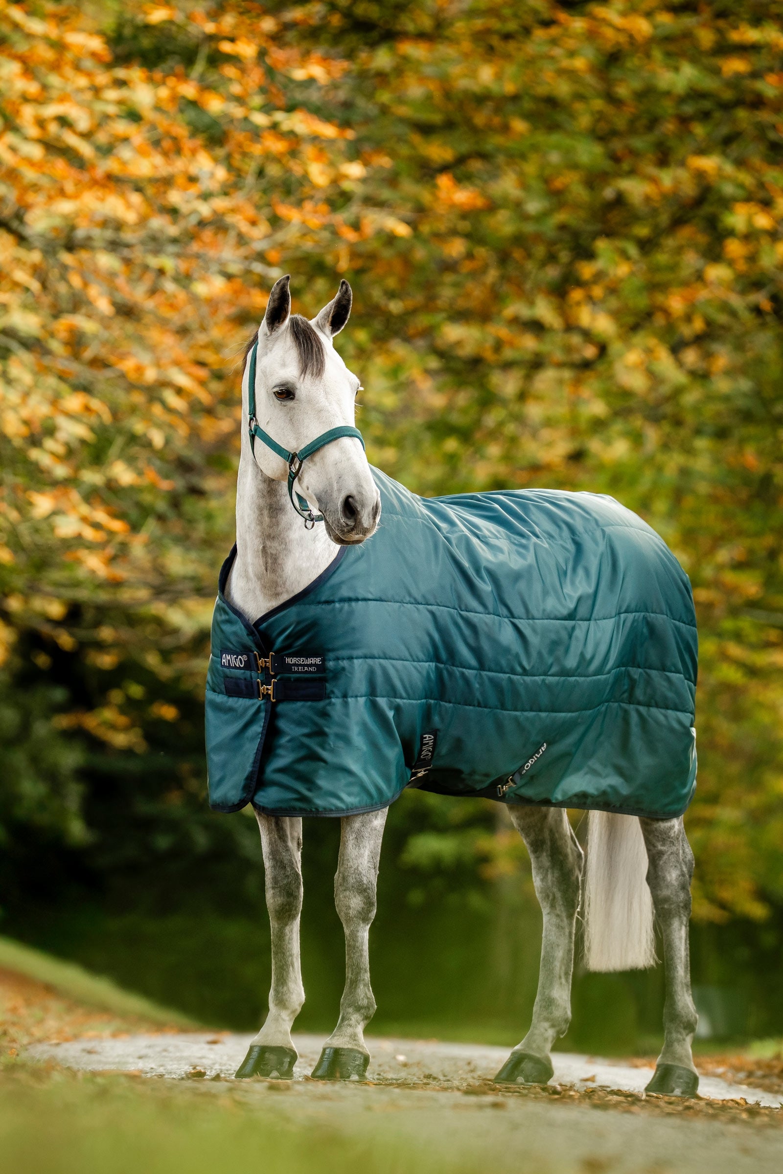 Horseware Amigo Ripstop manta de cuadra con relleno, 350 g Mantas Caballo