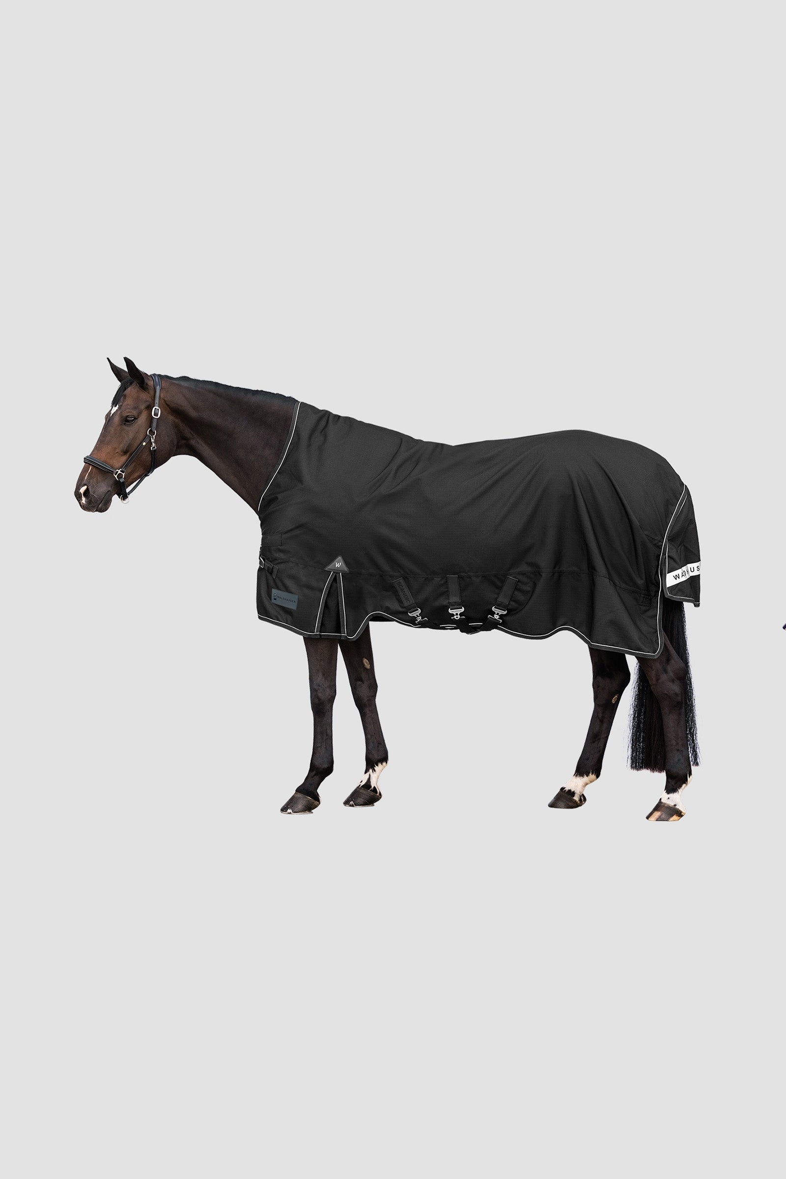 Waldhausen Outdoor Rug Scandic High Neck 100 g Mantas Caballo