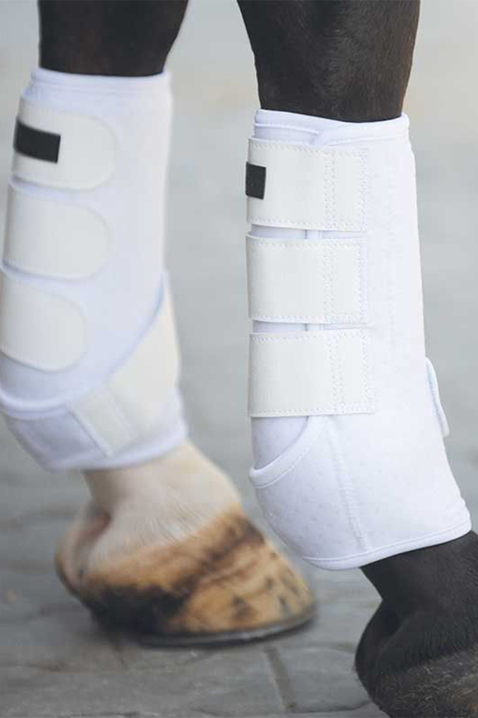Kavalkade Neoprene wrap boots Leg Protection & Hoof Protection for Horses