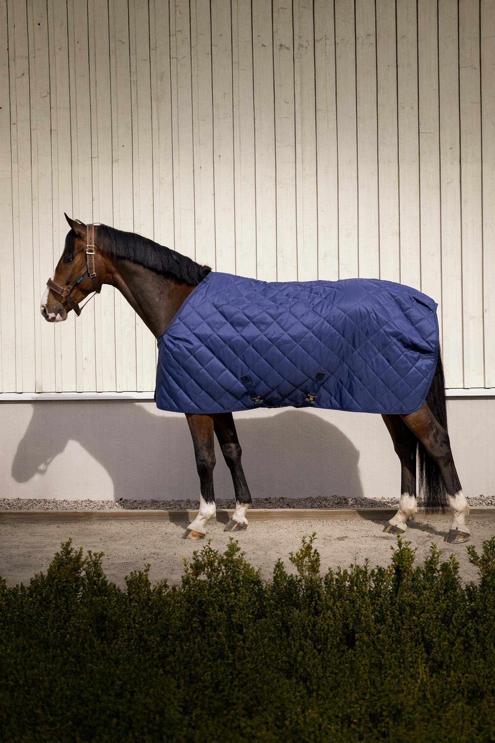 Bucas Cosy Stable Rug Mantas Caballo