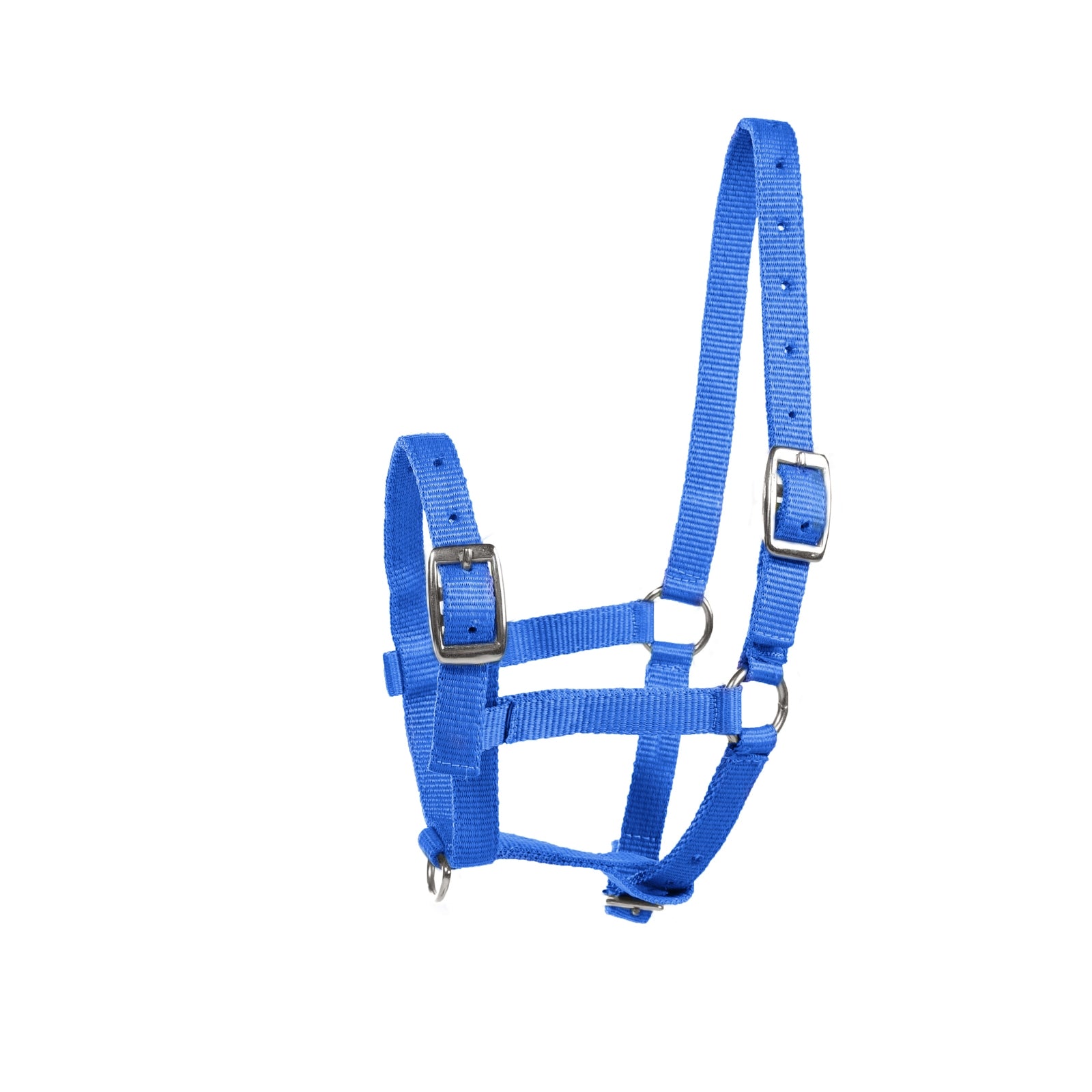 Horze Foal Halter Halters & Leads