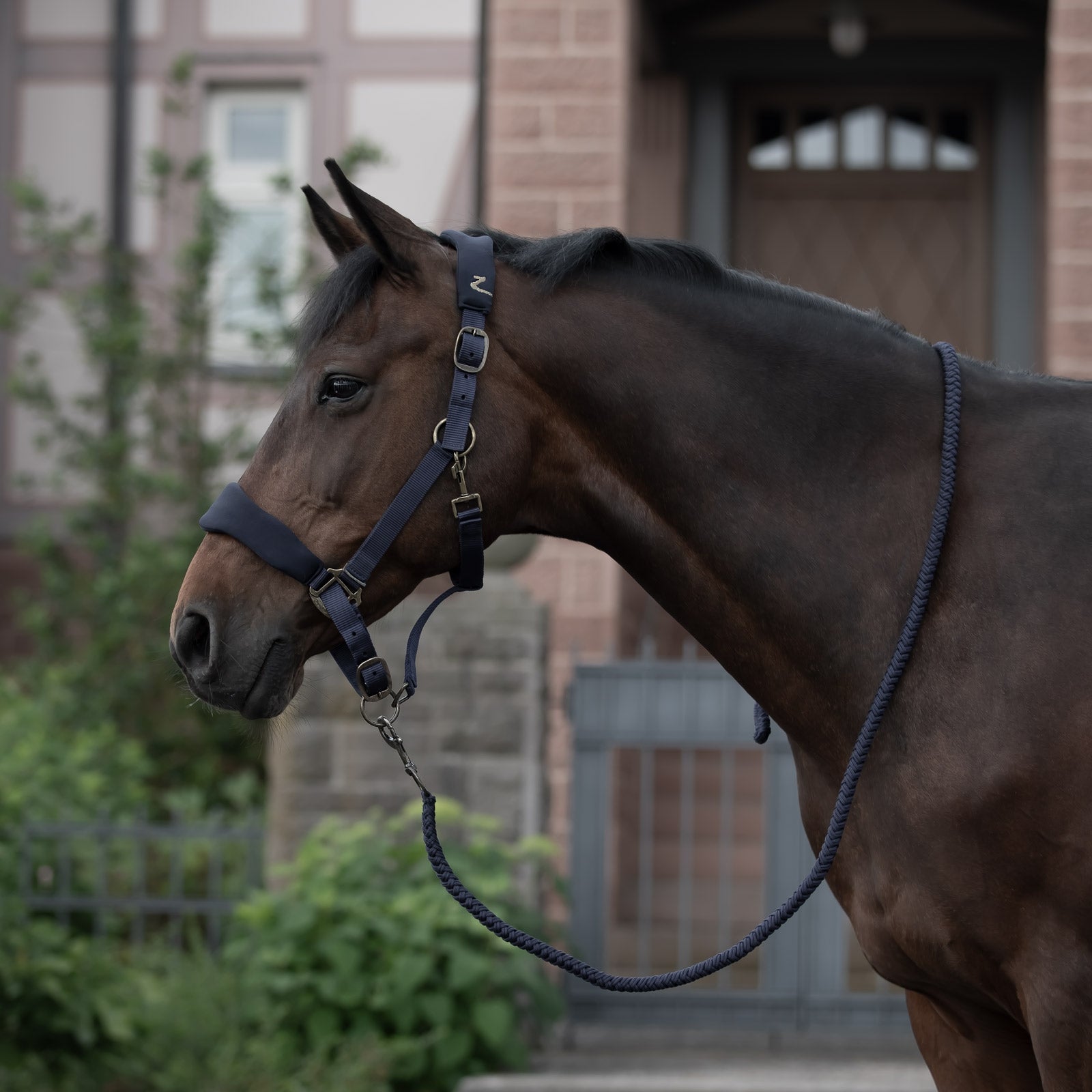 Horze Cabezada de Cuadra Graz Cabezadas de cuadra & Ramales