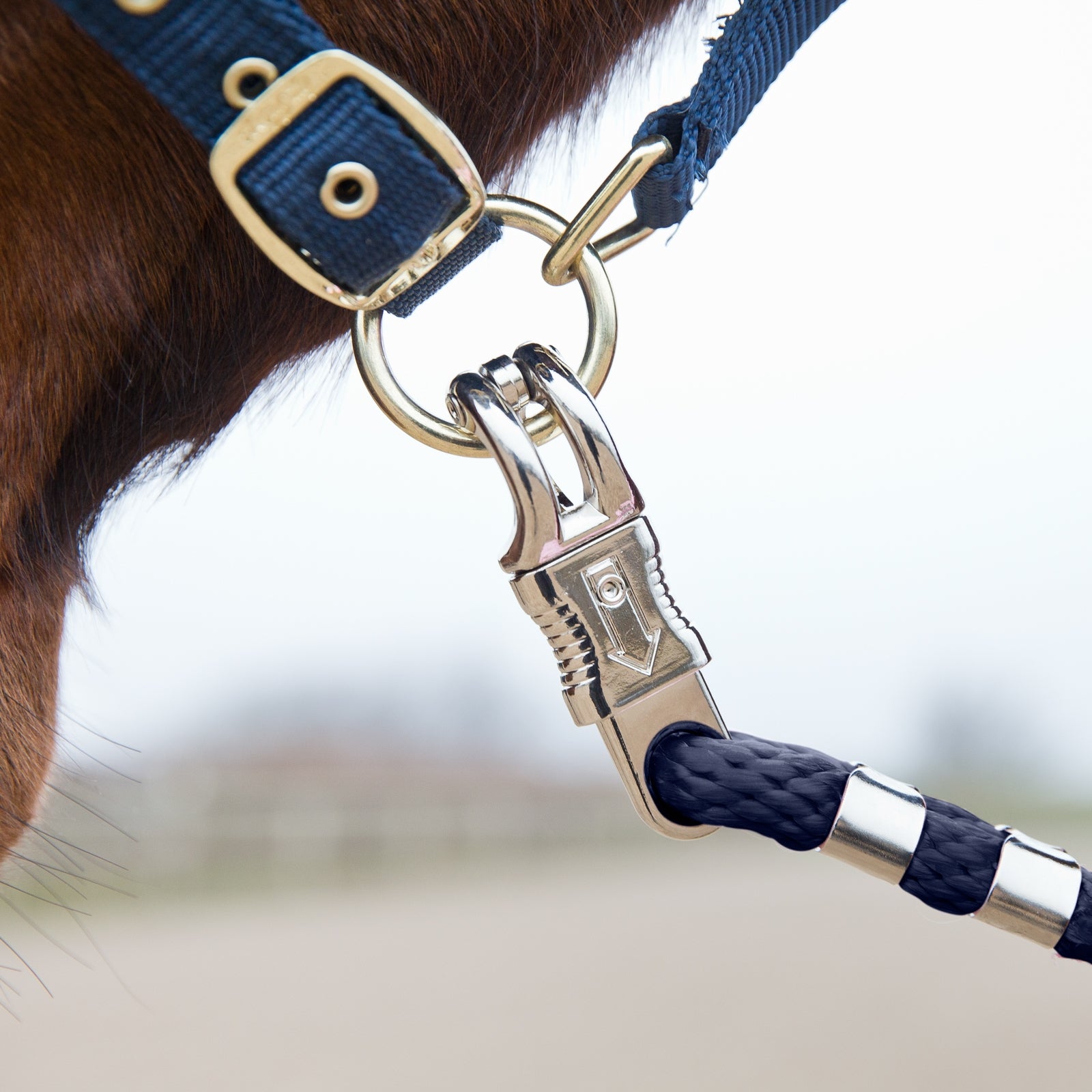 Horze Panic Buckle Lead Halters & Leads