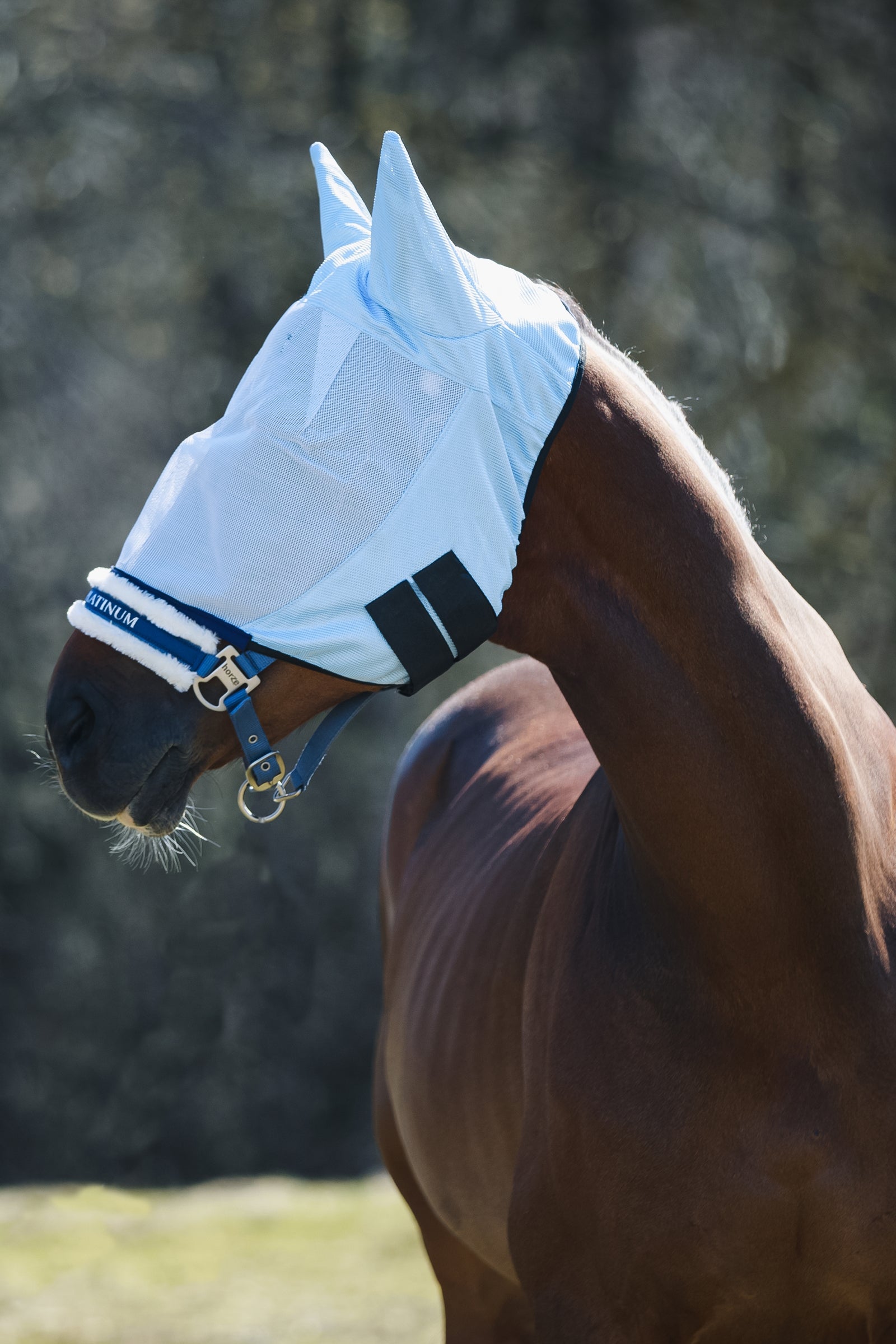 Horze Fly Mask with Ears Antifly Protection for Horses