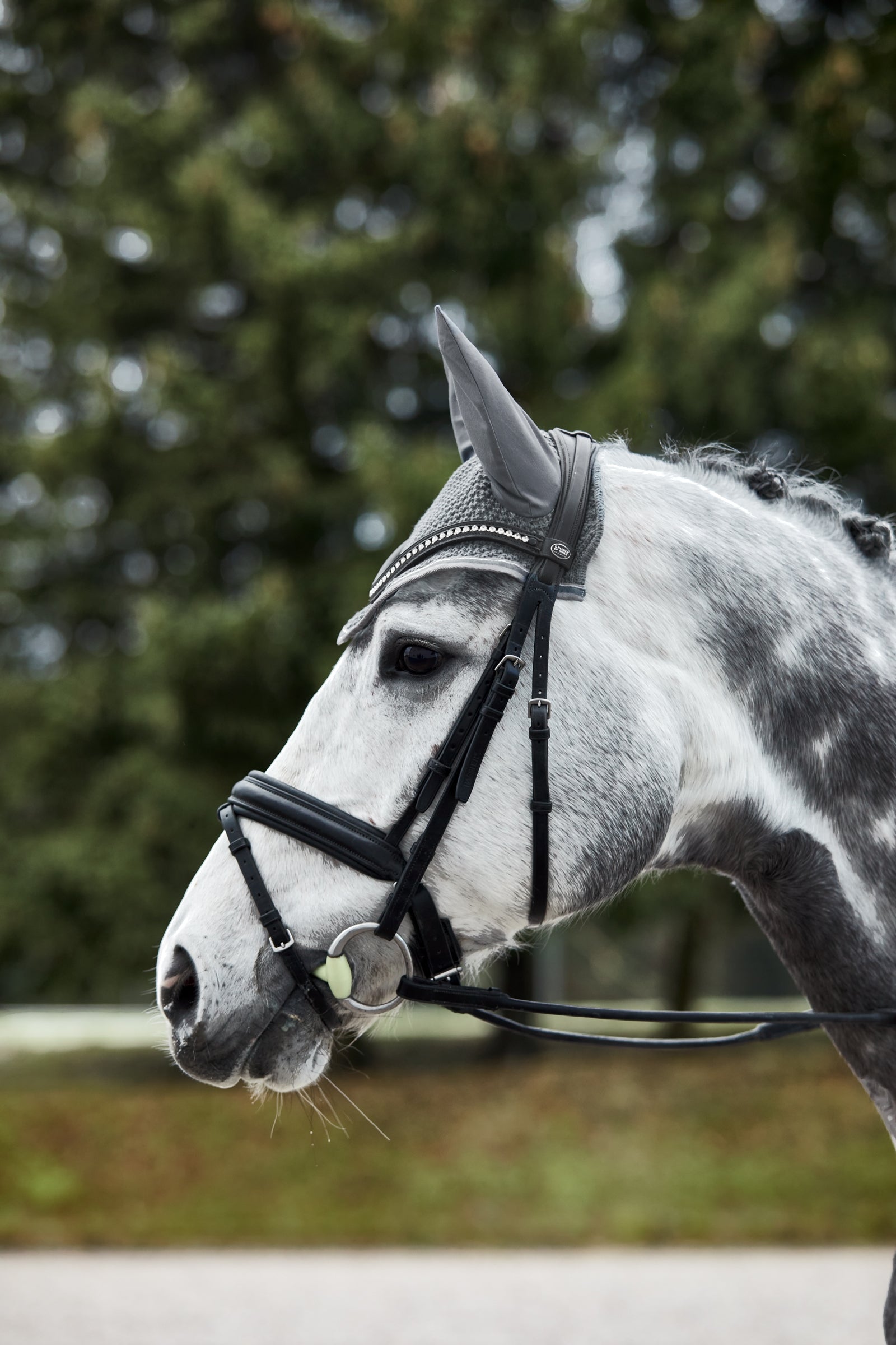 Horze Adepto Ear Net Saddle Pads