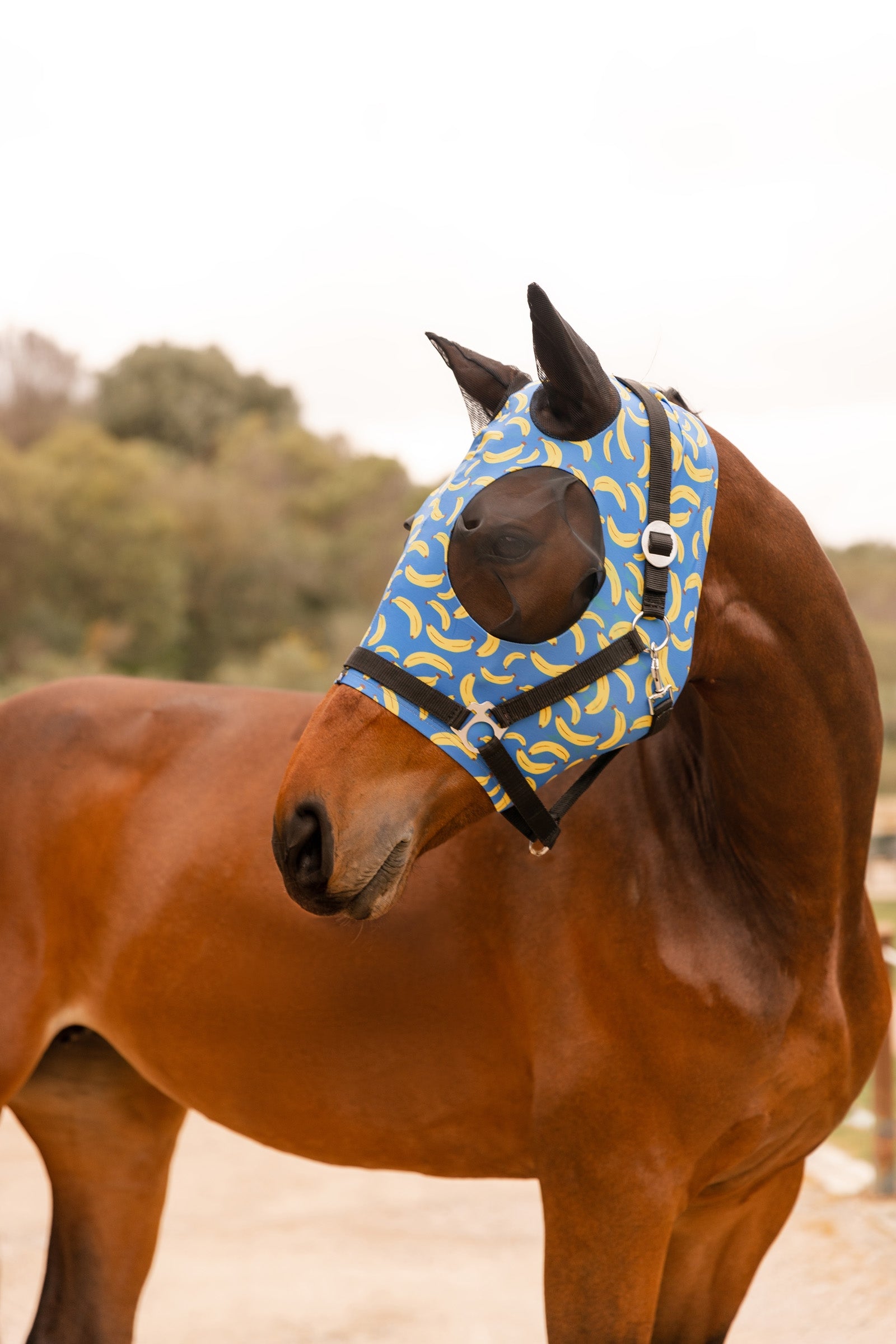 Horze Elastic Pull-On Fly Mask Antifly Protection for Horses