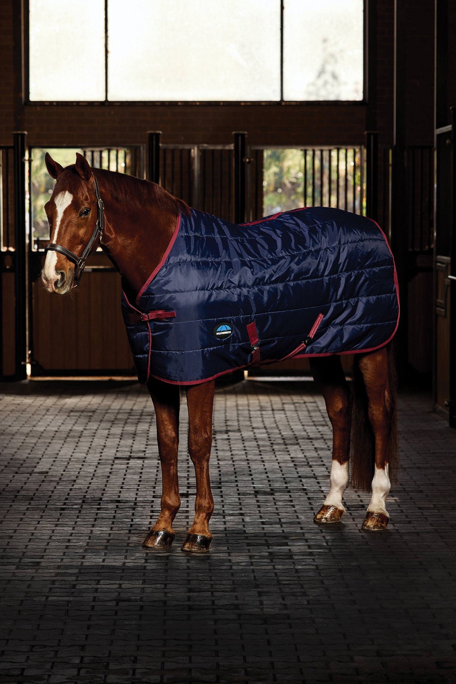 Weatherbeeta ComFiTec 210D Channel Quilt Stable Rug Standard Neck 220G Mantas Caballo