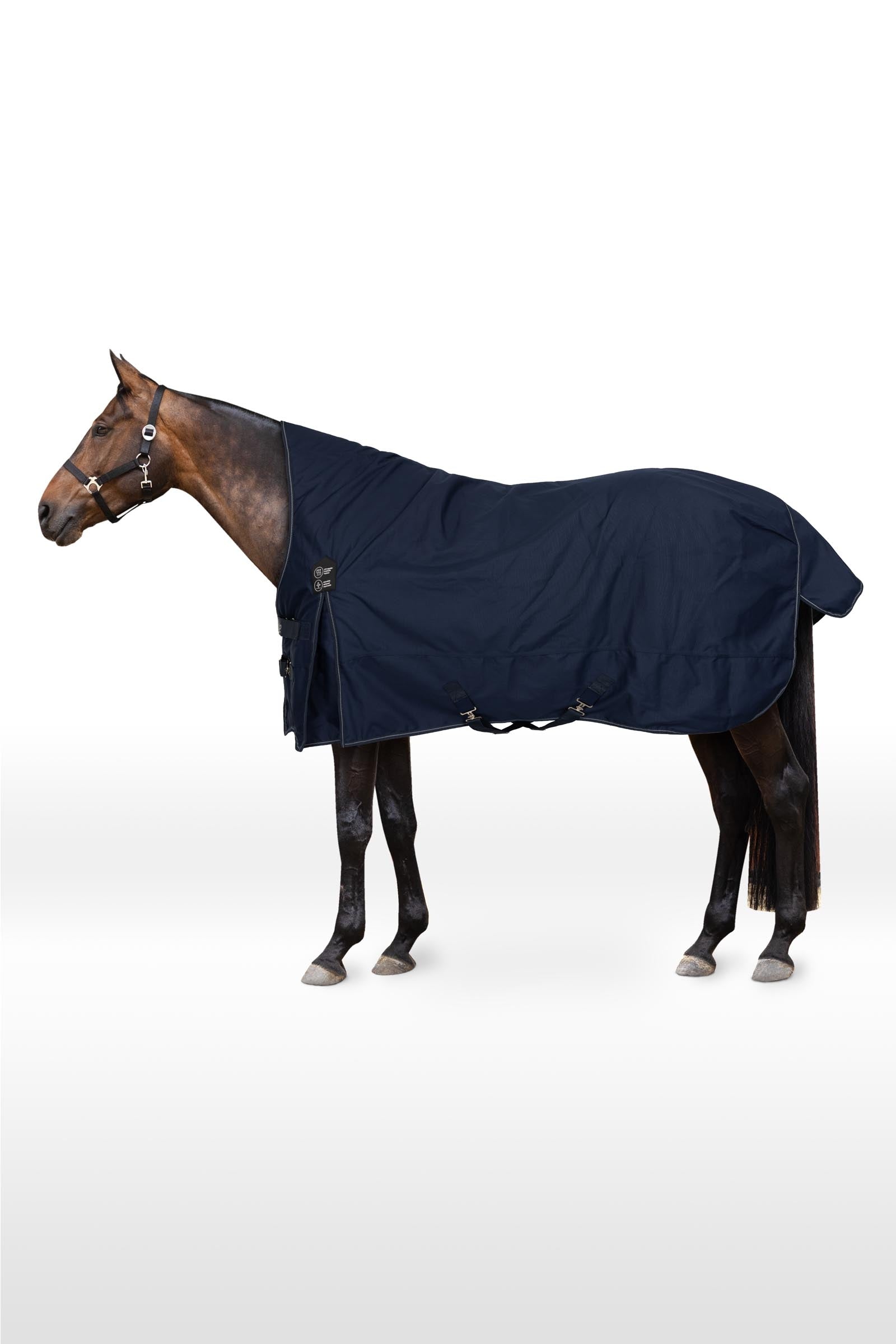 Horze Manta Avalanche Turnout con cuello alto, 150 g Mantas Caballo