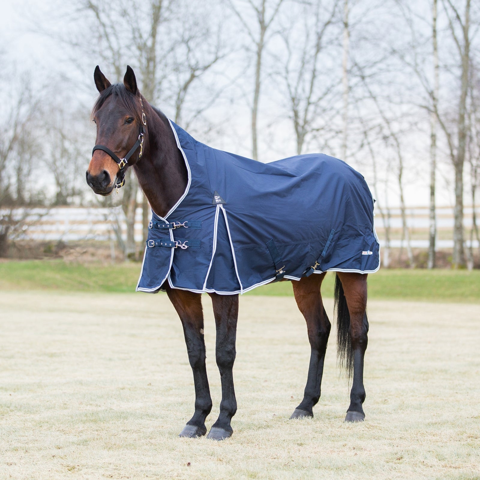 Finntack Manta de lluvia Pro Alaska Mantas Caballo