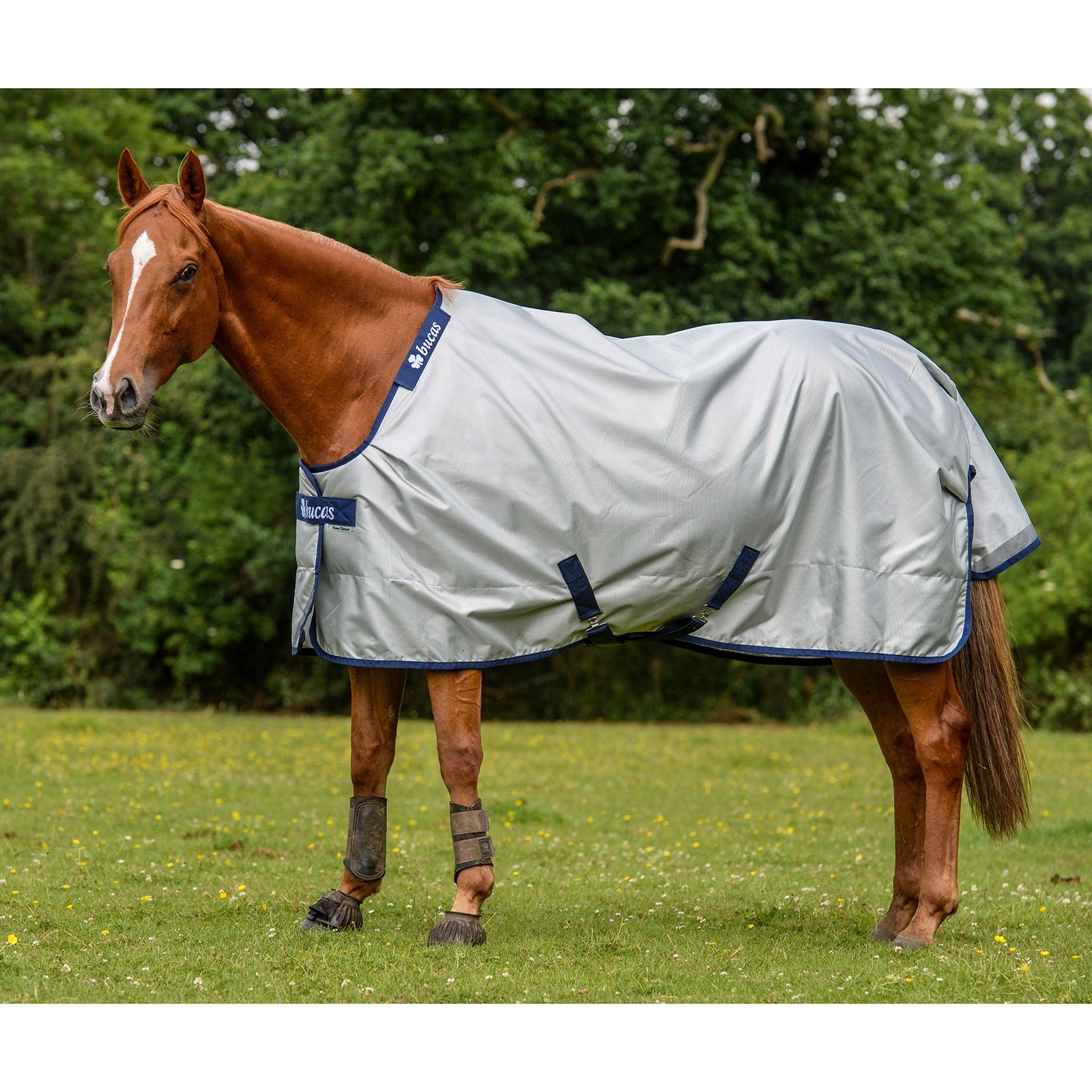 Bucas Bucas Power Turnout Light Classic rug Horse Rugs