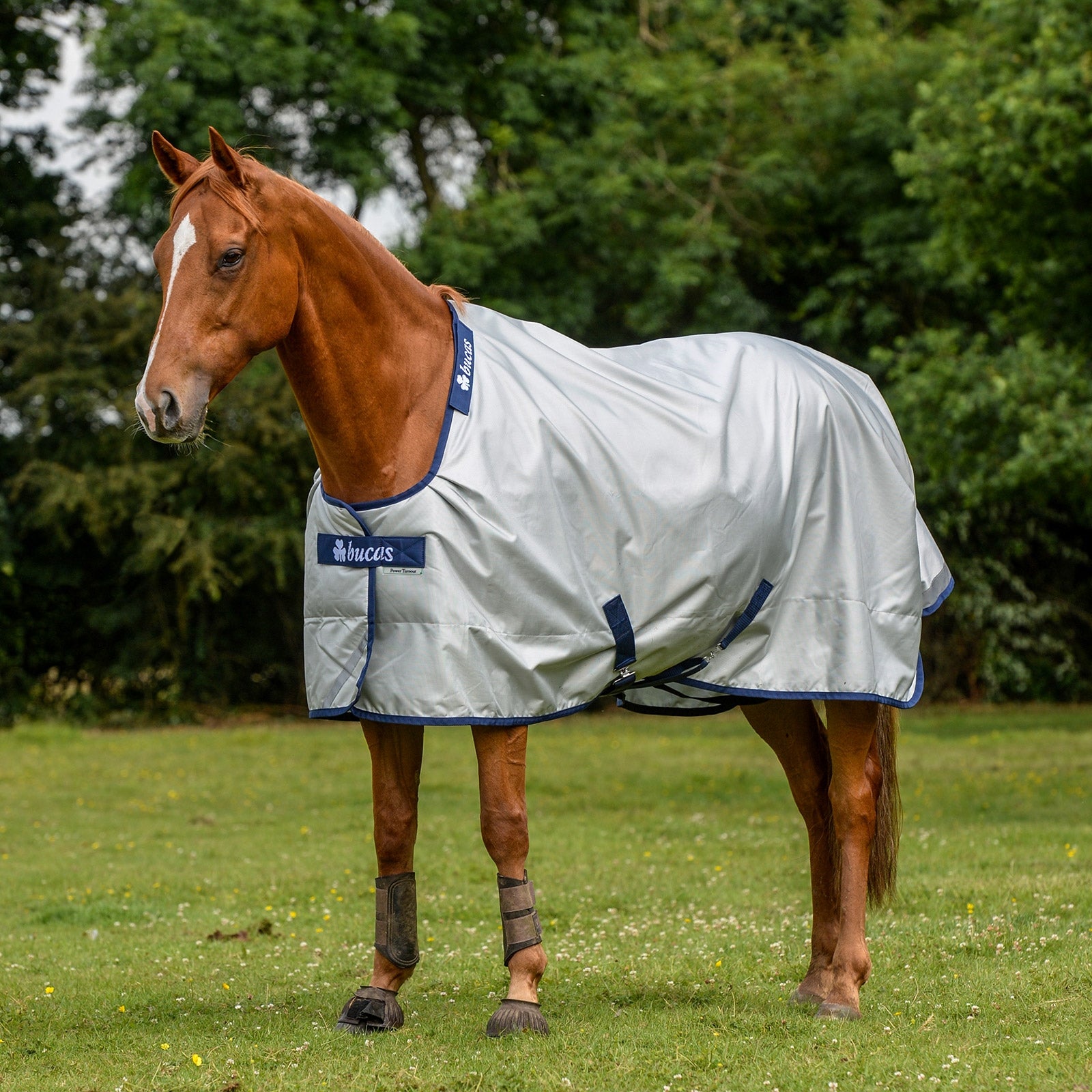 Bucas Bucas Power Turnout Light Classic rug Horse Rugs