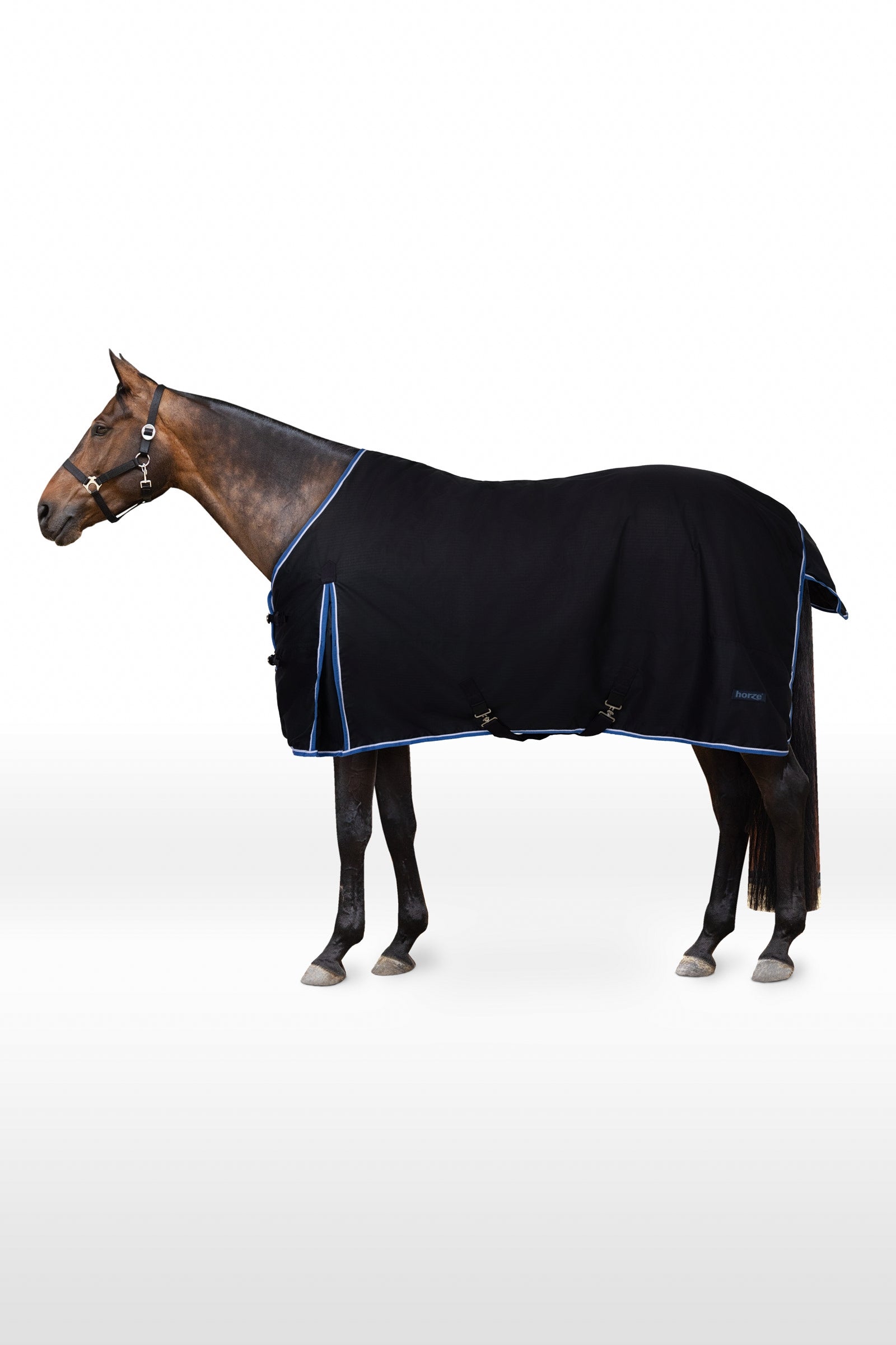 Horze Glasgow Turnout Rug, 350g Horse Rugs