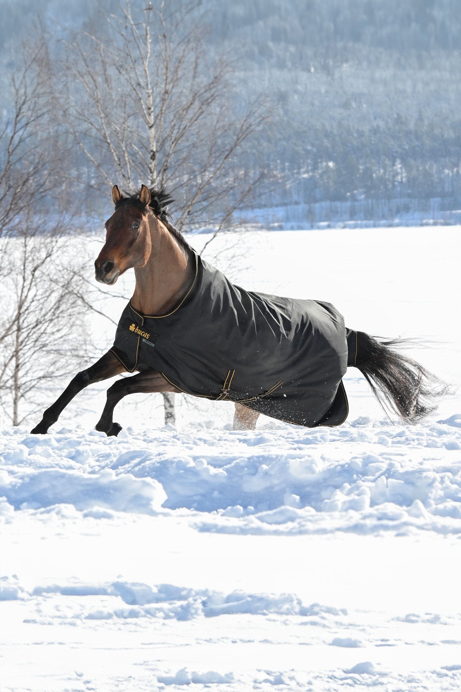 Bucas Irish manta de exterior, 300g Mantas Caballo