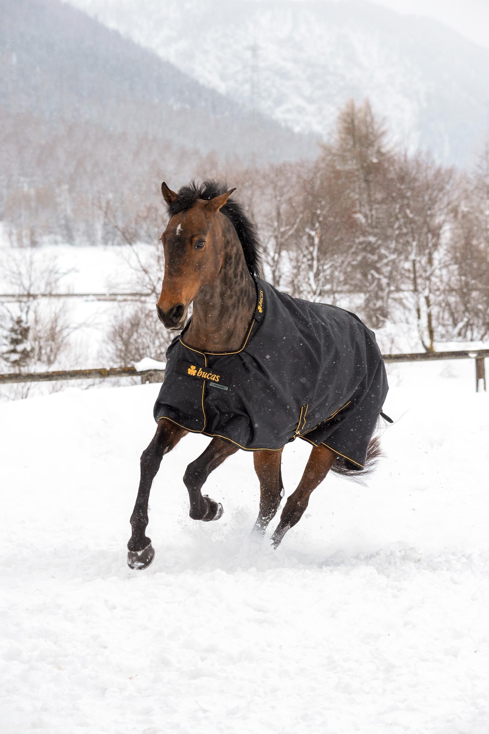 Bucas Irish Turnout Rug, 300g Horse Rugs