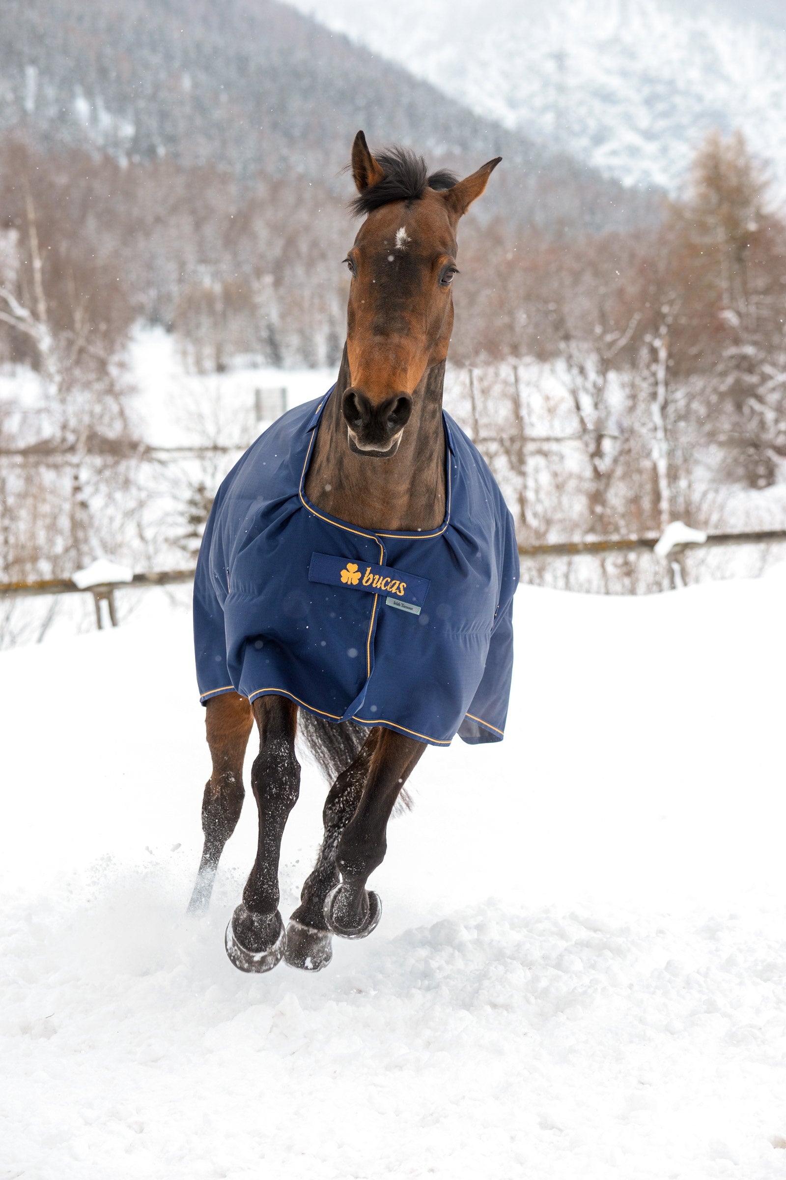 Bucas Irish Turnout Rug, 300g Horse Rugs