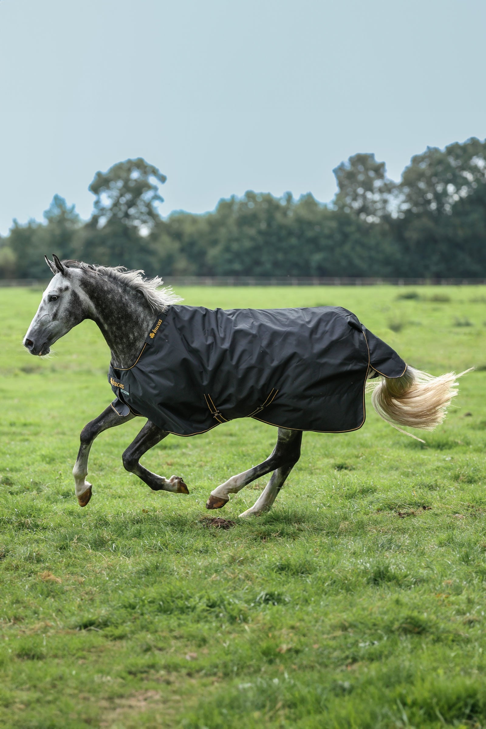 Bucas Irish Turnout Rug, 50g Horse Rugs