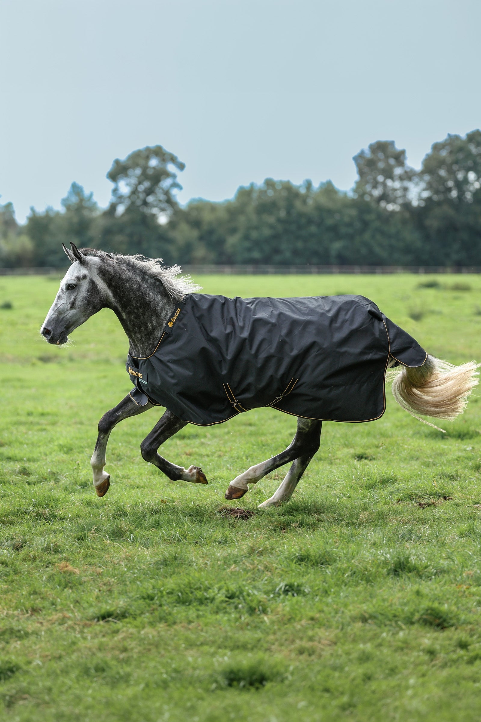Bucas Irish Turnout Rug, 50g Horse Rugs