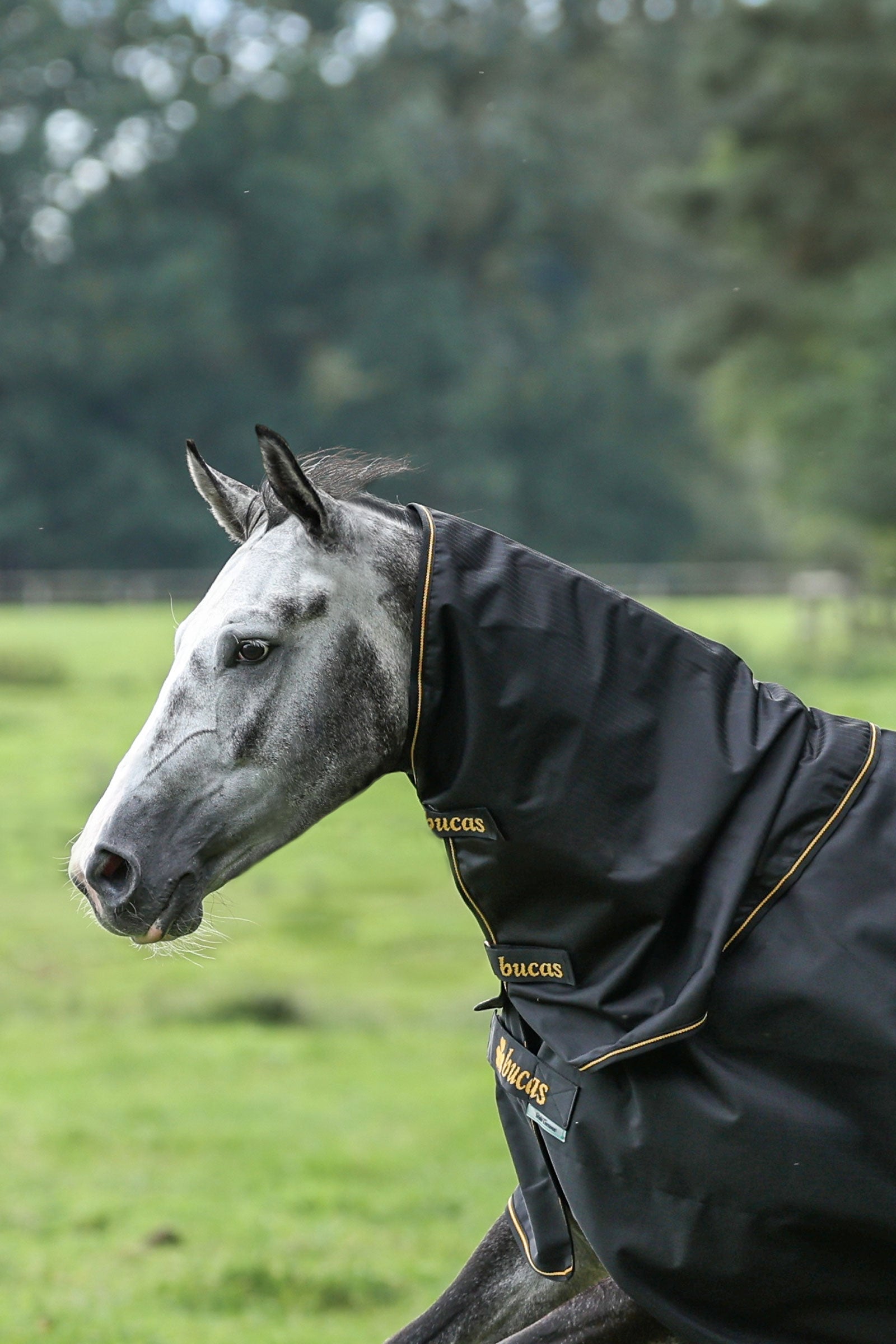 Bucas Irish Turnout cubre cuello, 0g Mantas Caballo